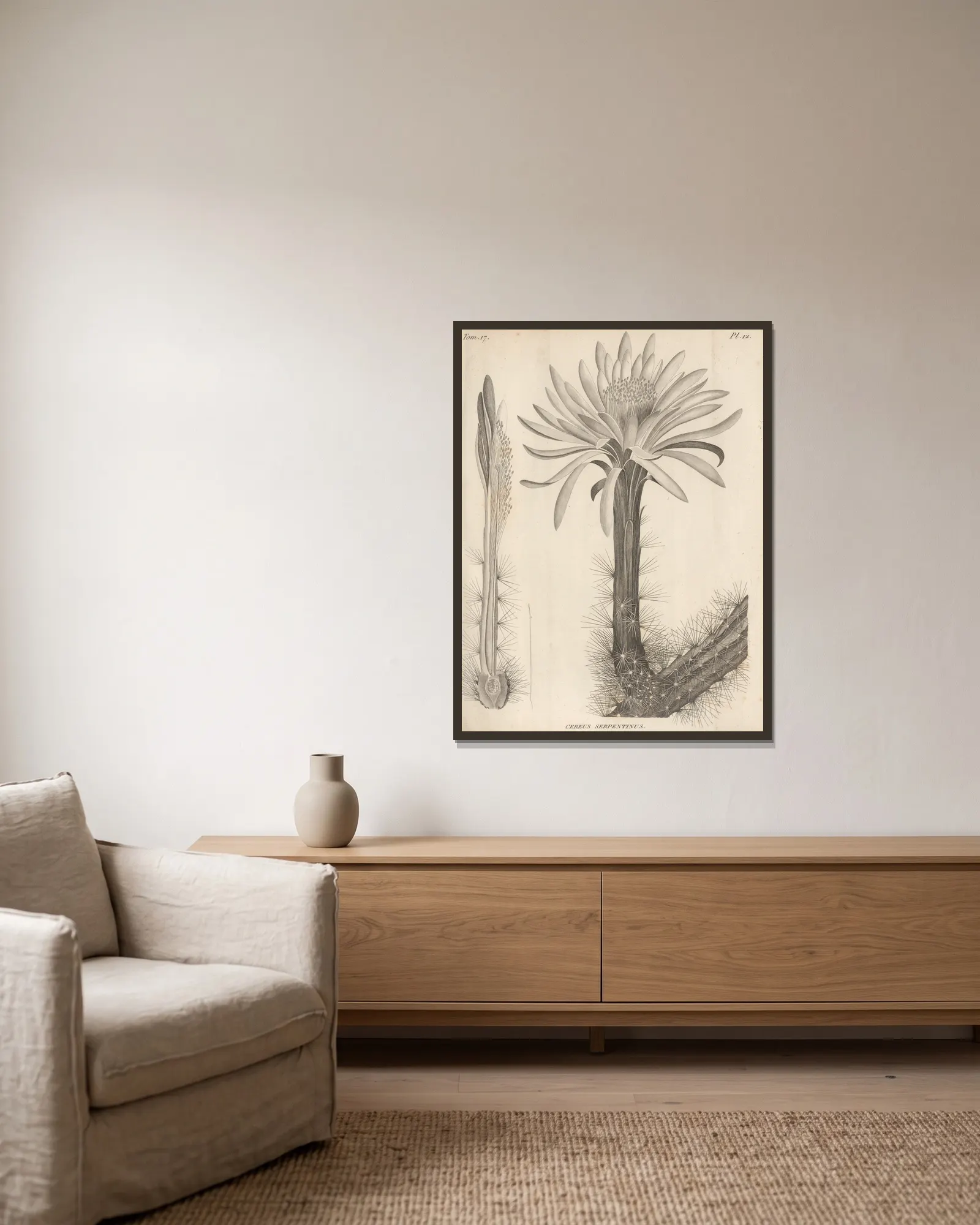 Cereus serpentinus av Augustin Pyramus de Candolle inramad på en vägg