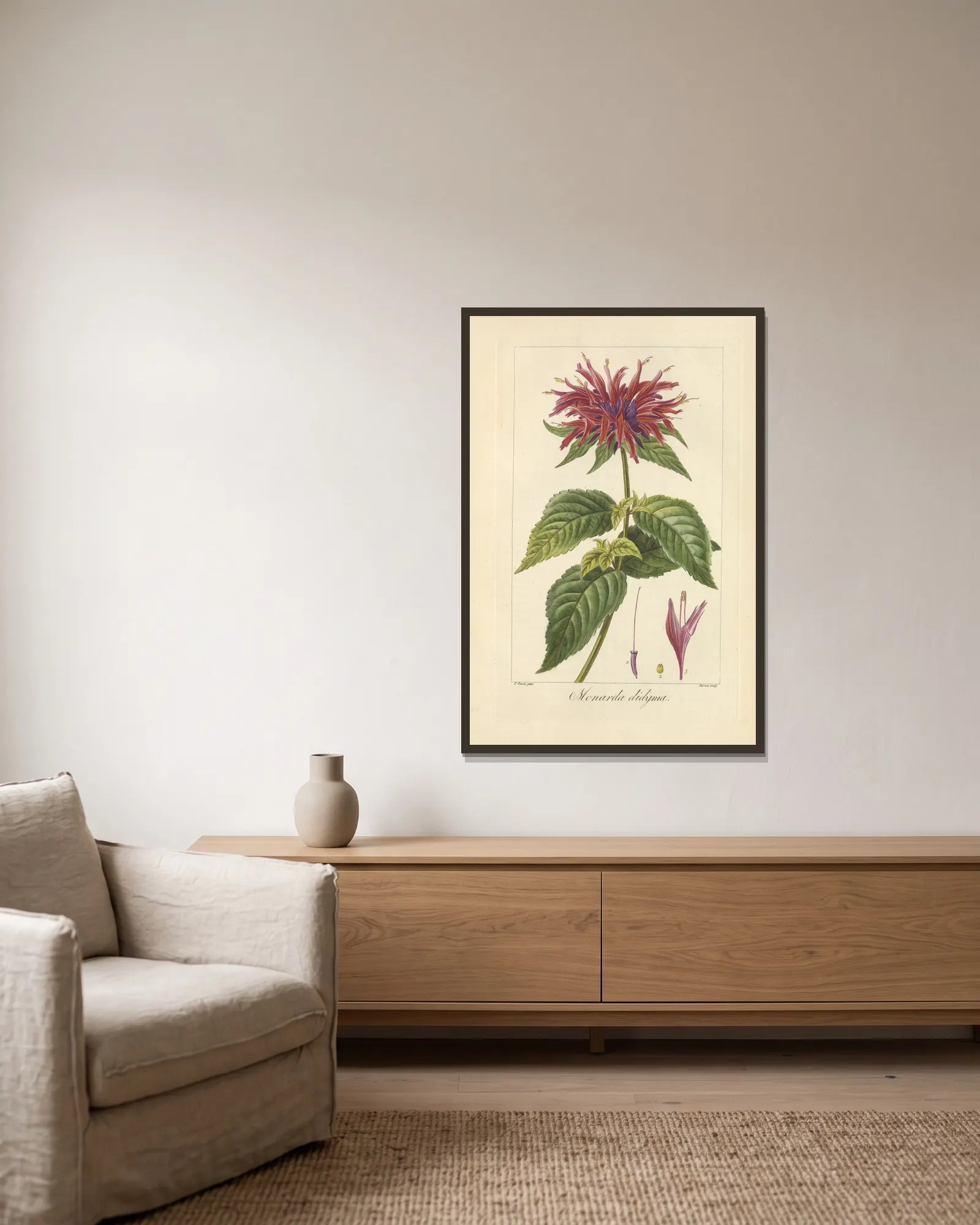 Monarda didyma av Jean Claude Michel Mordant de Launay inramad på en vägg