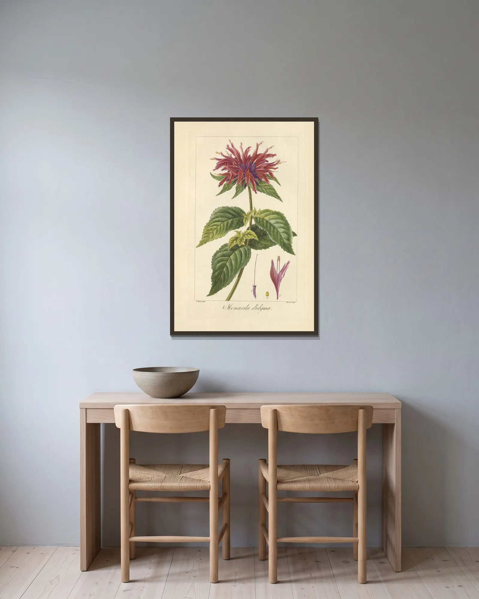 Monarda didyma av Jean Claude Michel Mordant de Launay inramad på en vägg