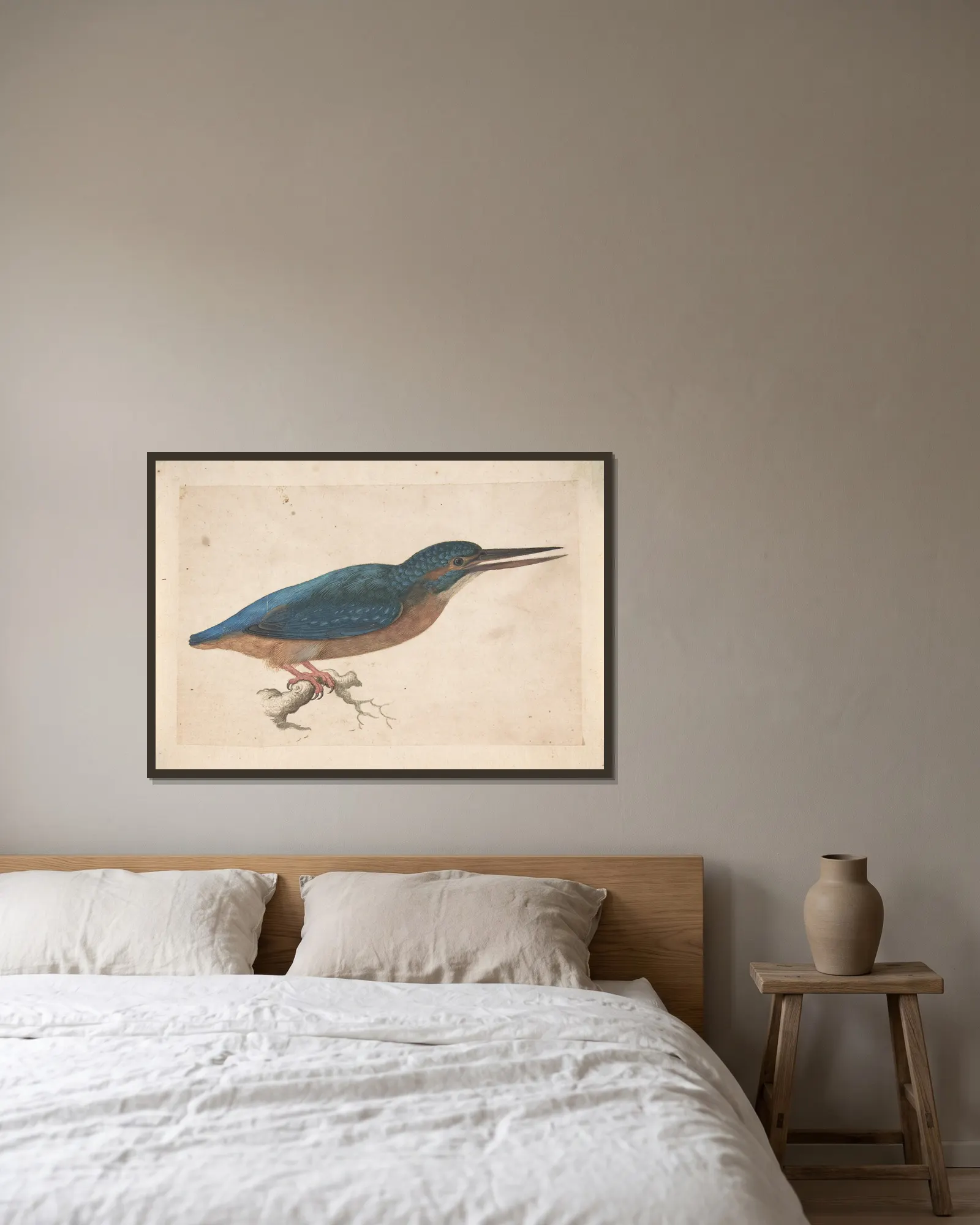 A Kingfisher on a Branch av Jacques Le Moyne de Morgues inramad på en vägg