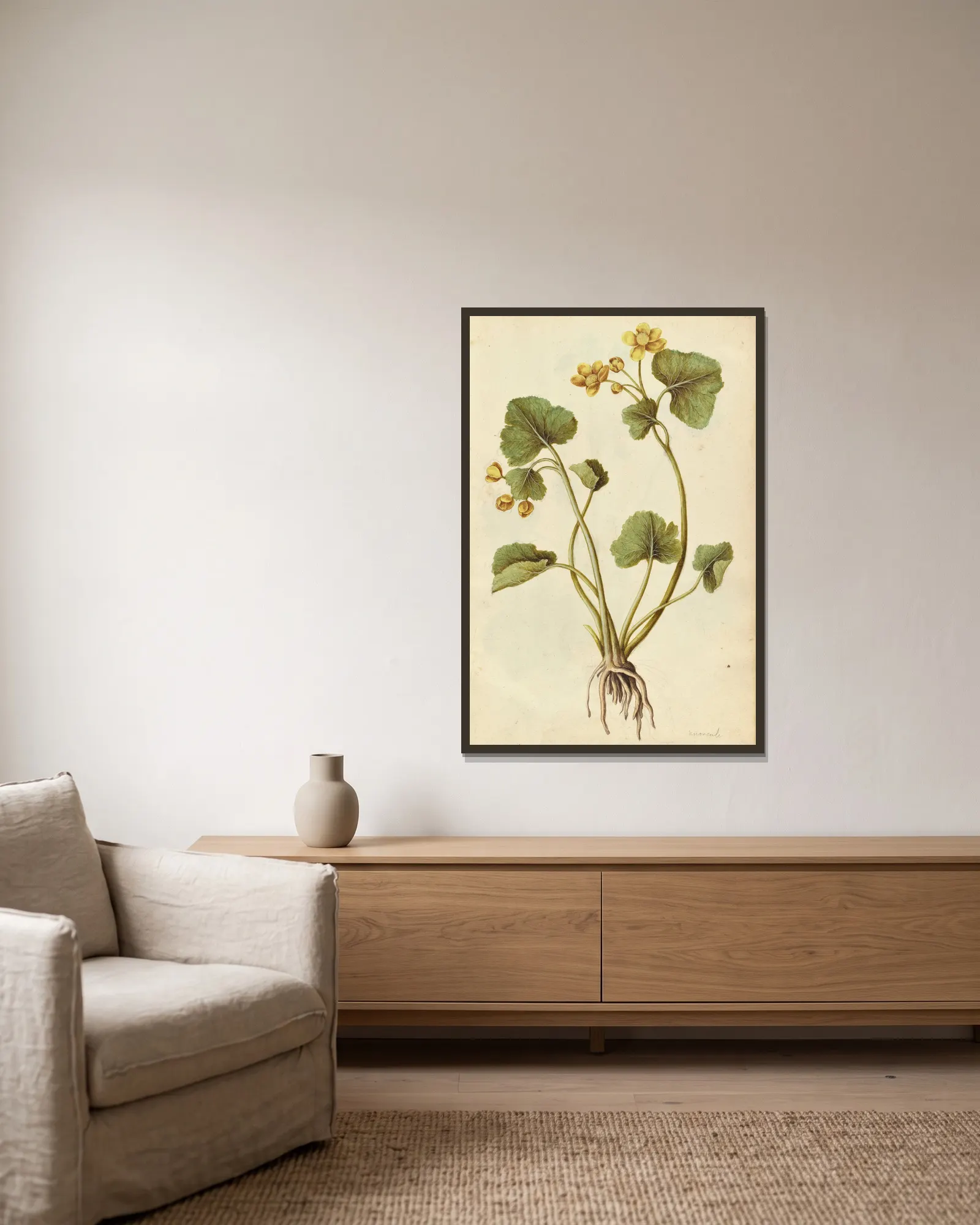 Caltha palustris. Kingcup av Jacques Le Moyne de Morgues inramad på en vägg