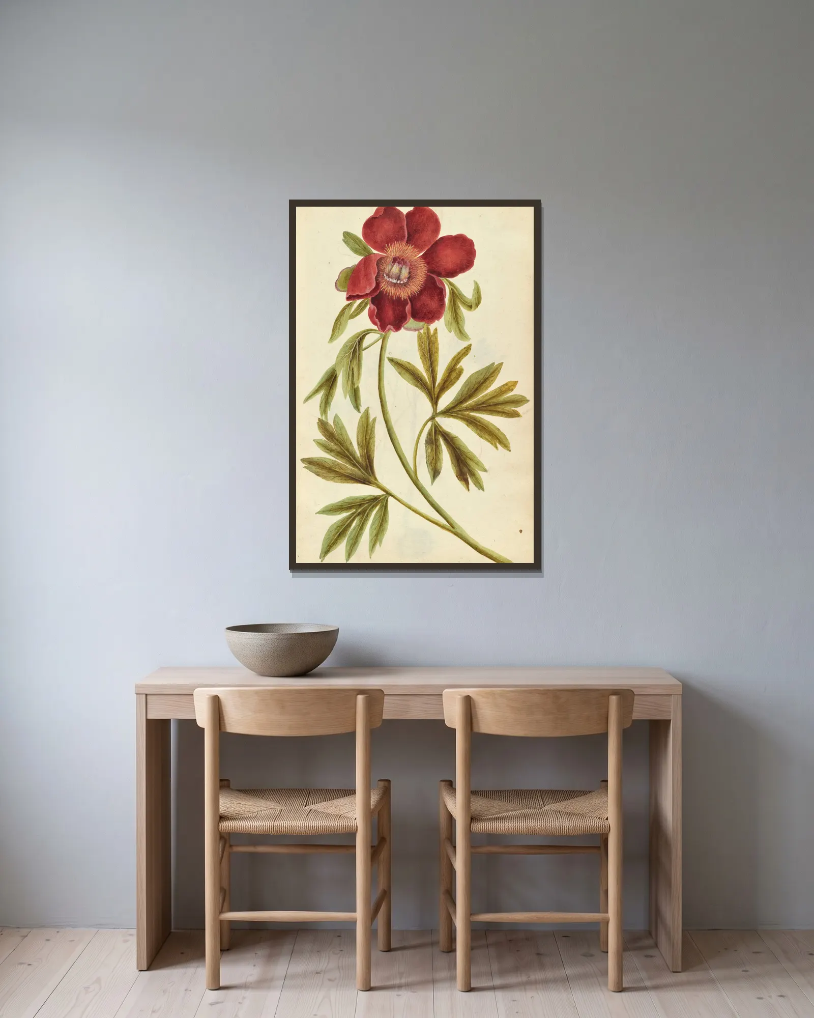 Paeonia mascula. Peony av Jacques Le Moyne de Morgues inramad på en vägg