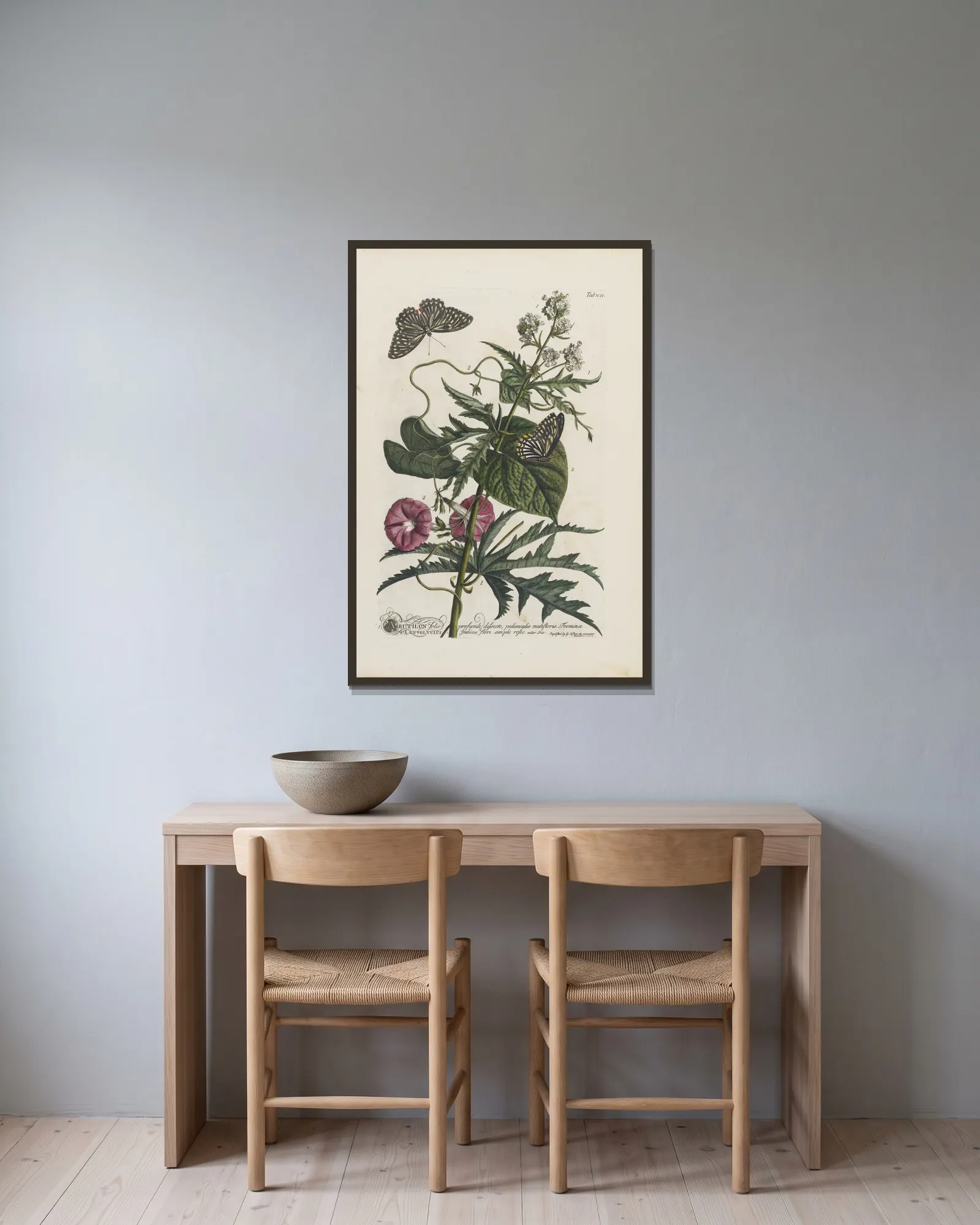 1.Abutilon 2.Convolvulus av Georg Dionysius Ehret inramad på en vägg