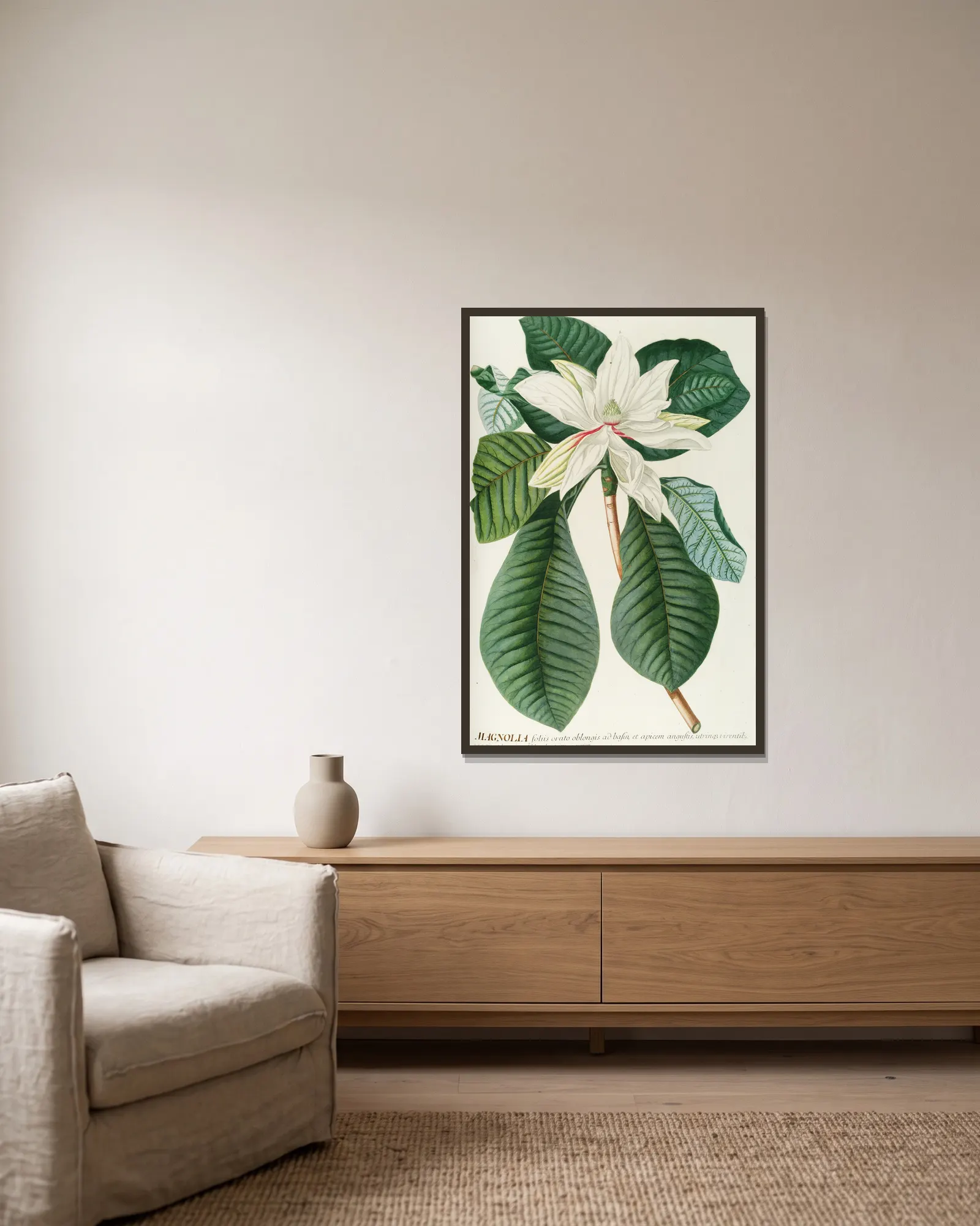 Magnolia III av Georg Dionysius Ehret inramad på en vägg