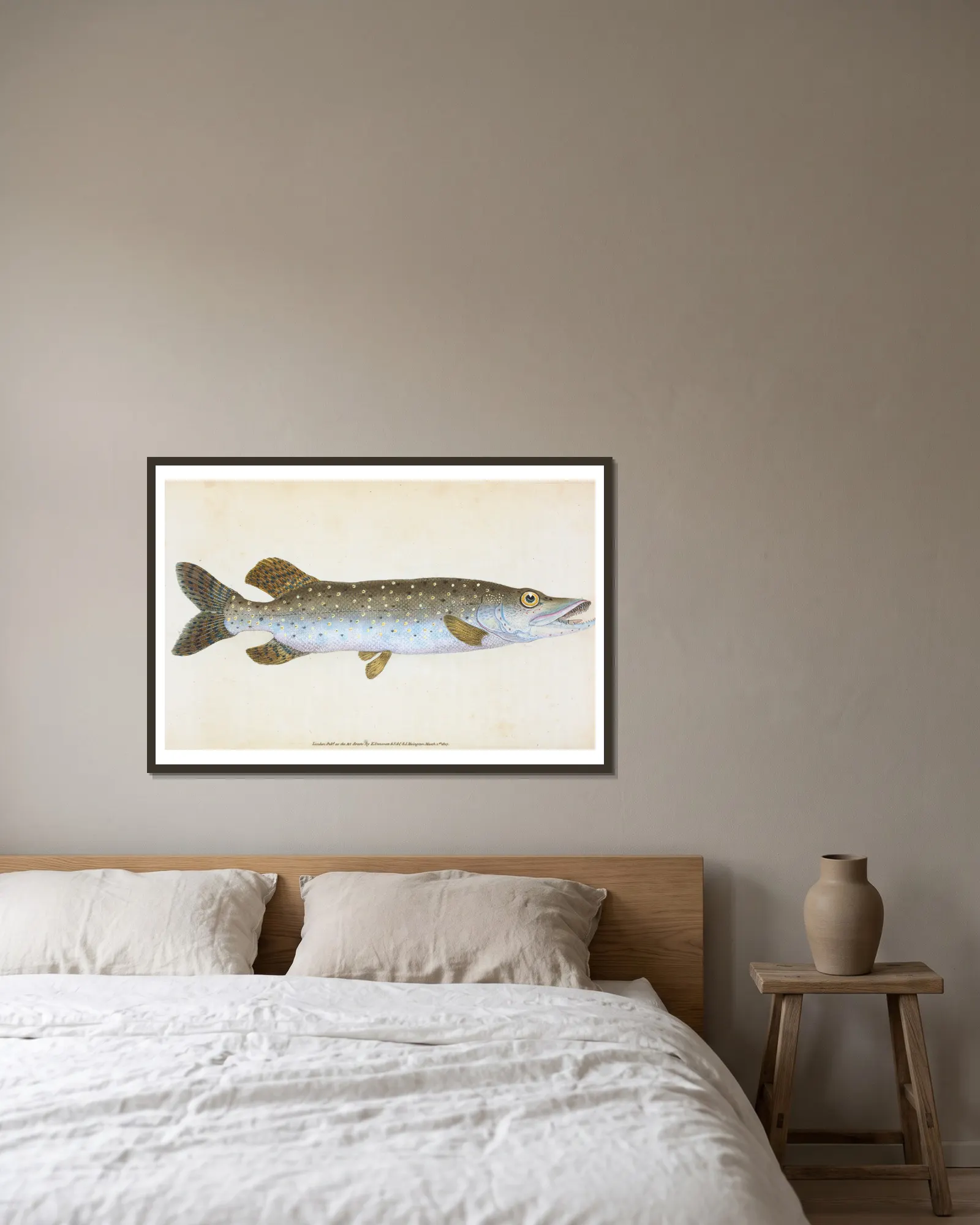 Common Pike, Esox Lucius av Edward Donovan inramad på en vägg