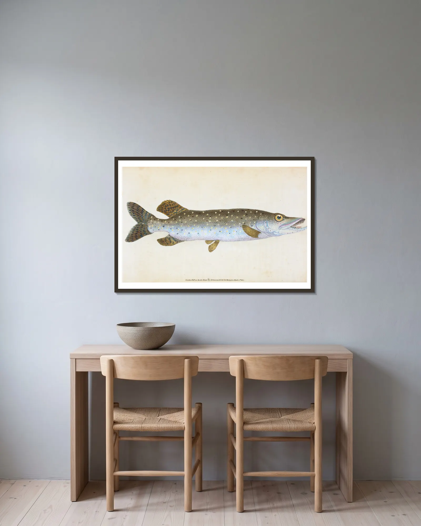 Common Pike, Esox Lucius av Edward Donovan inramad på en vägg