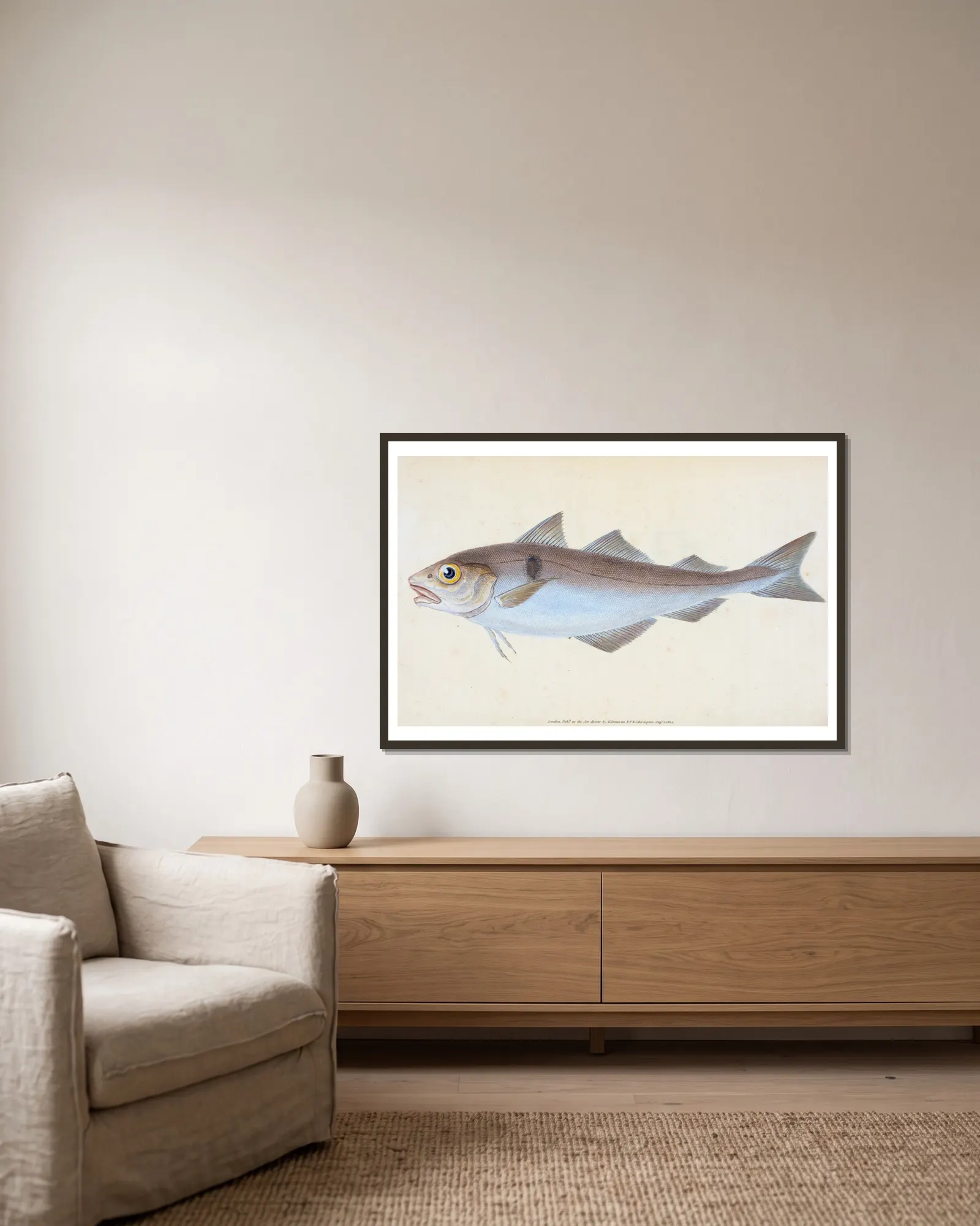 Haddock, Gadus Æglefinus av Edward Donovan inramad på en vägg