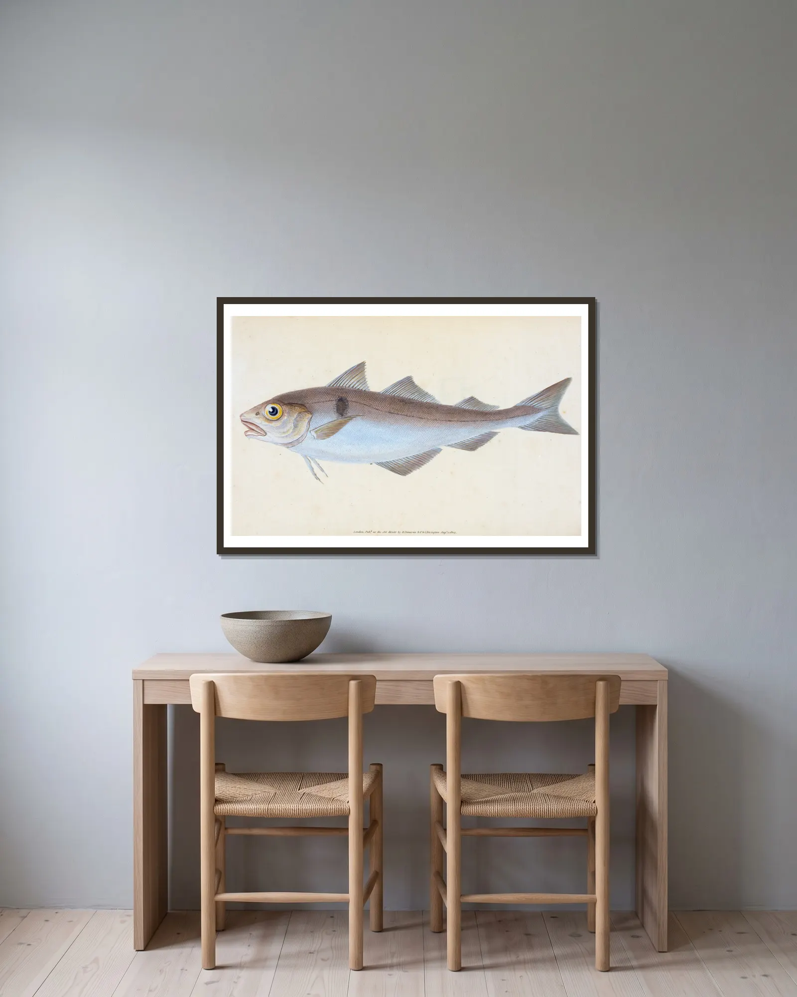 Haddock, Gadus Æglefinus av Edward Donovan inramad på en vägg