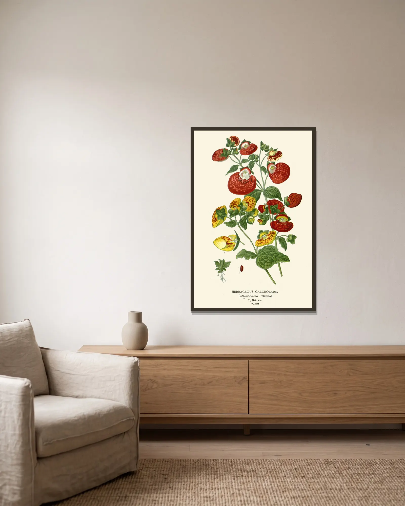 Herbaceous Calceolaria av Edward Step inramad på en vägg