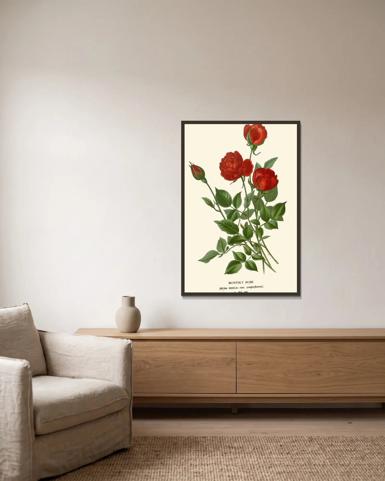 Monthly Rose av Edward Step inramad på en vägg