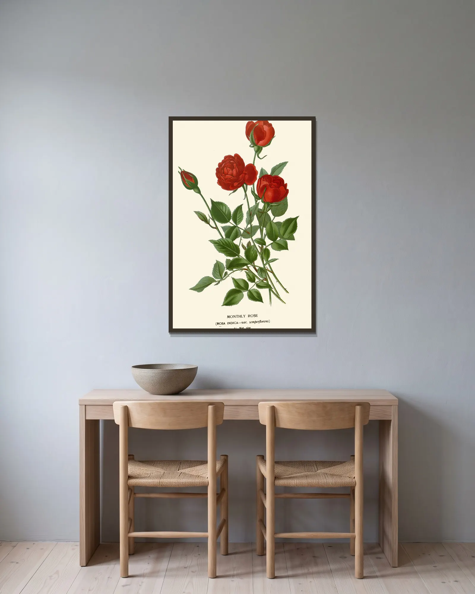 Monthly Rose av Edward Step inramad på en vägg