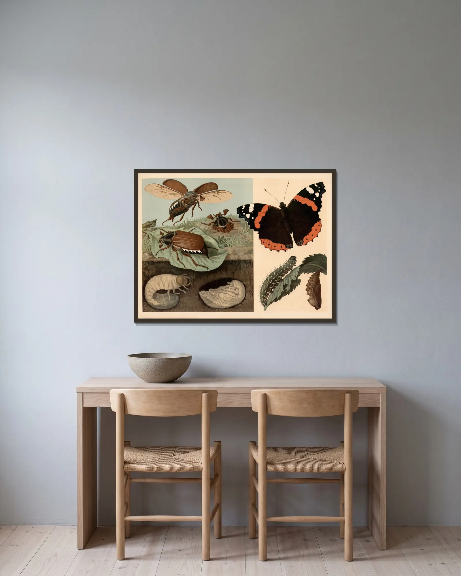 Cockchafer and butterfly av Emil Schmidt inramad på en vägg