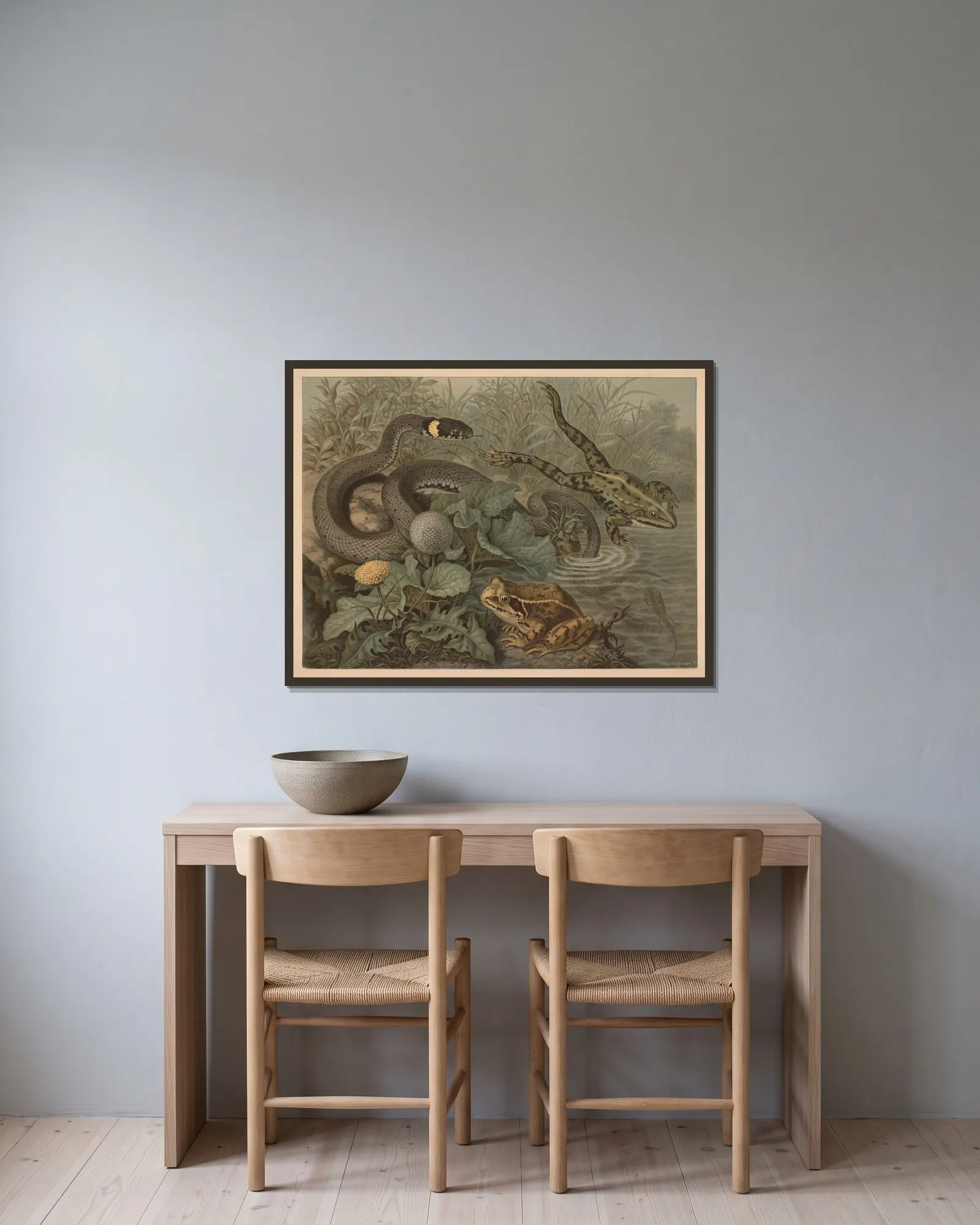 Frog and rattlesnake av Emil Schmidt inramad på en vägg