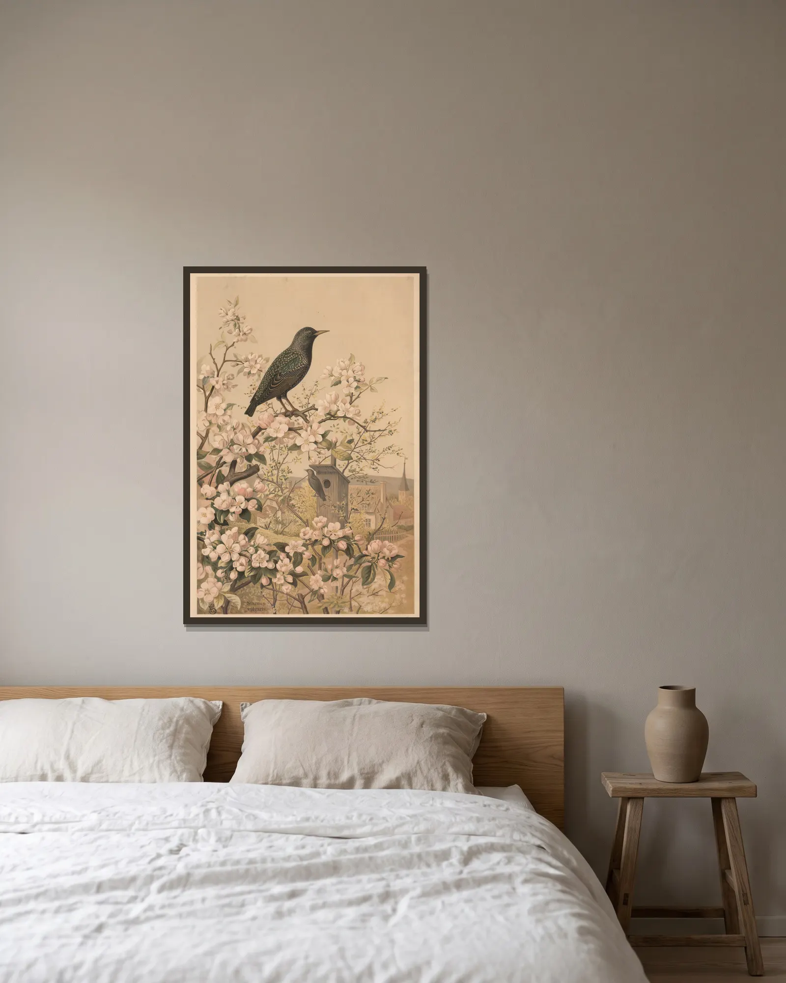 Starling av Emil Schmidt inramad på en vägg