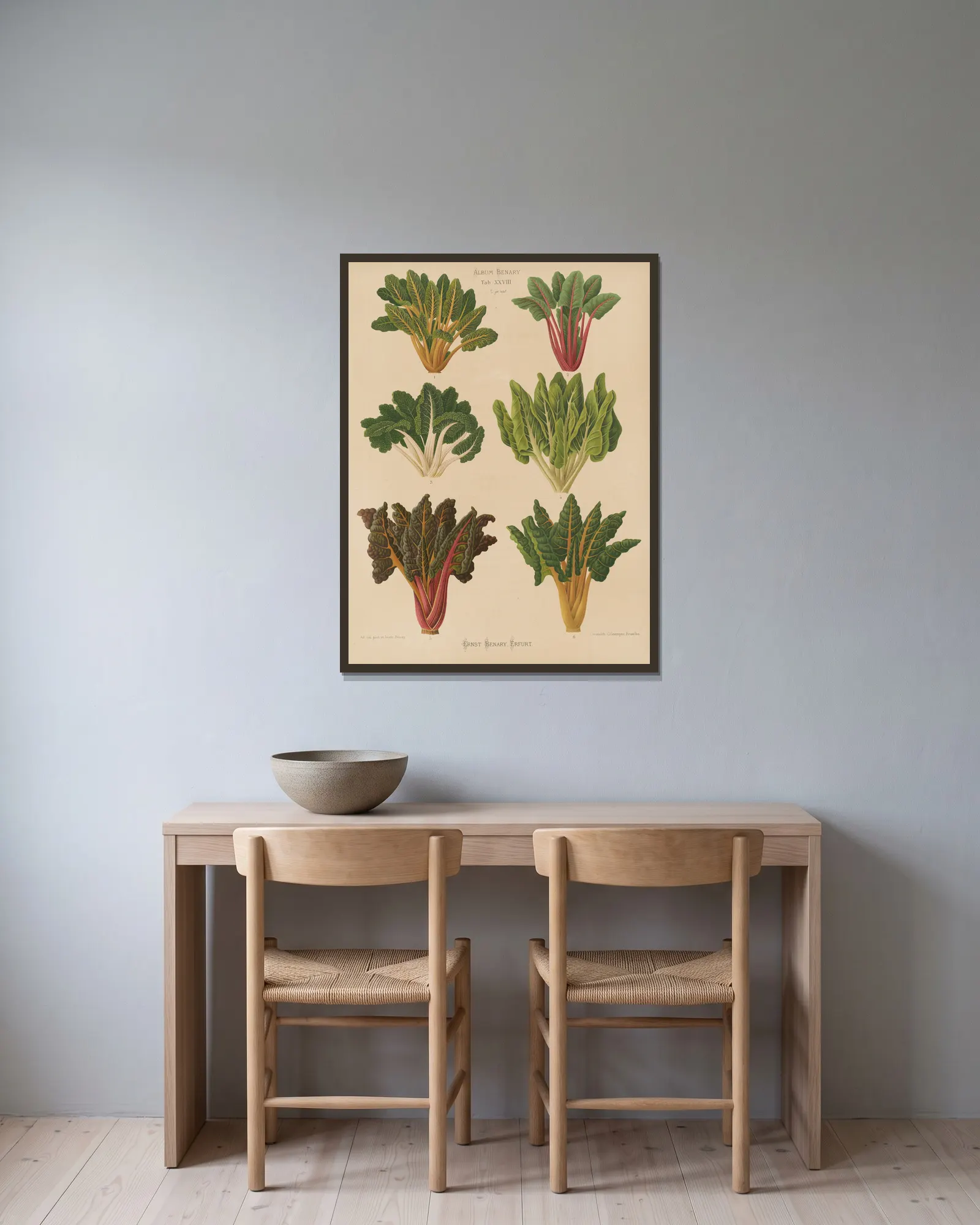 Beet or Swiss Chard av Ernst Benary inramad på en vägg