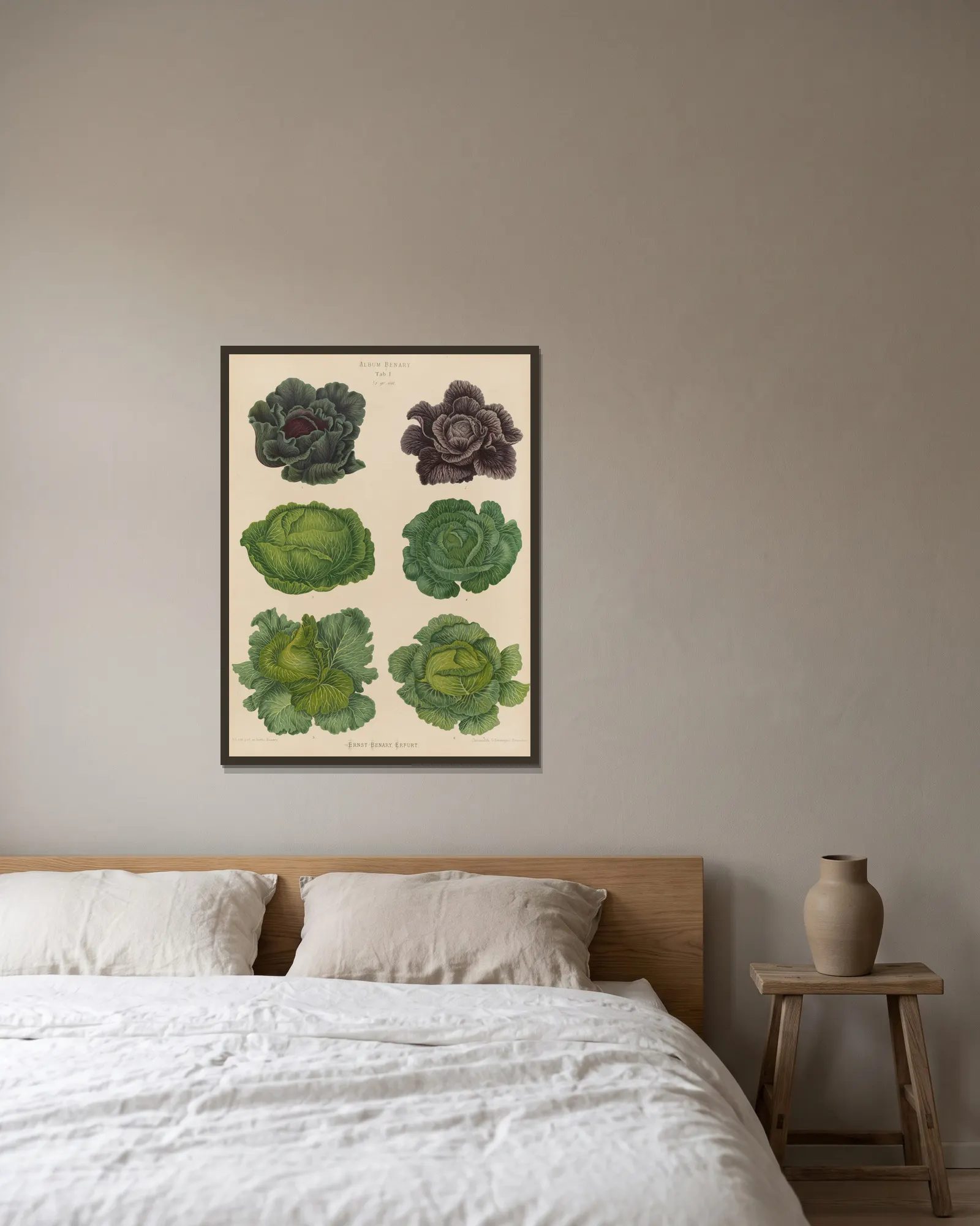 Cabbages, 1876 – nr 1 av Ernst Benary inramad på en vägg