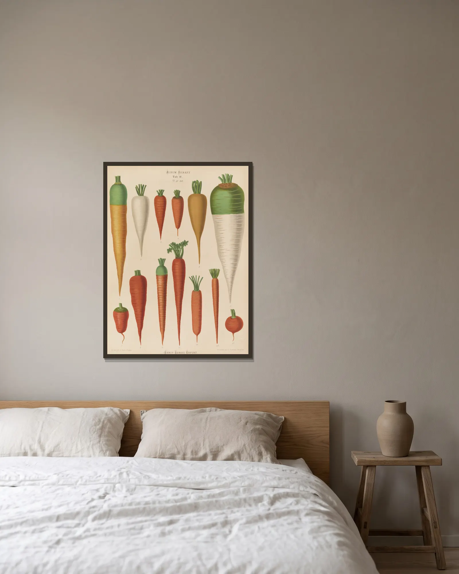 Carrots av Ernst Benary inramad på en vägg