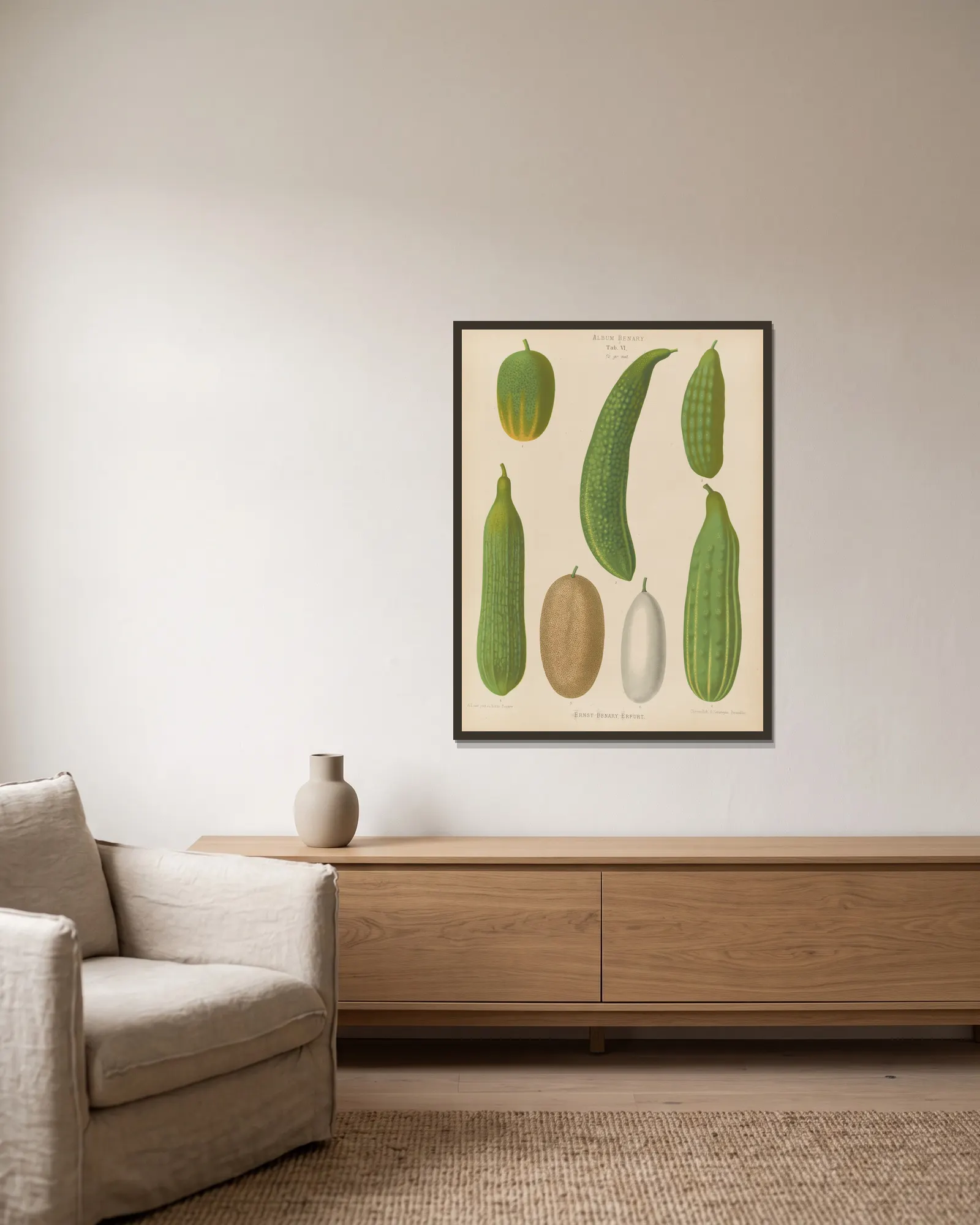 Cucumbers av Ernst Benary inramad på en vägg
