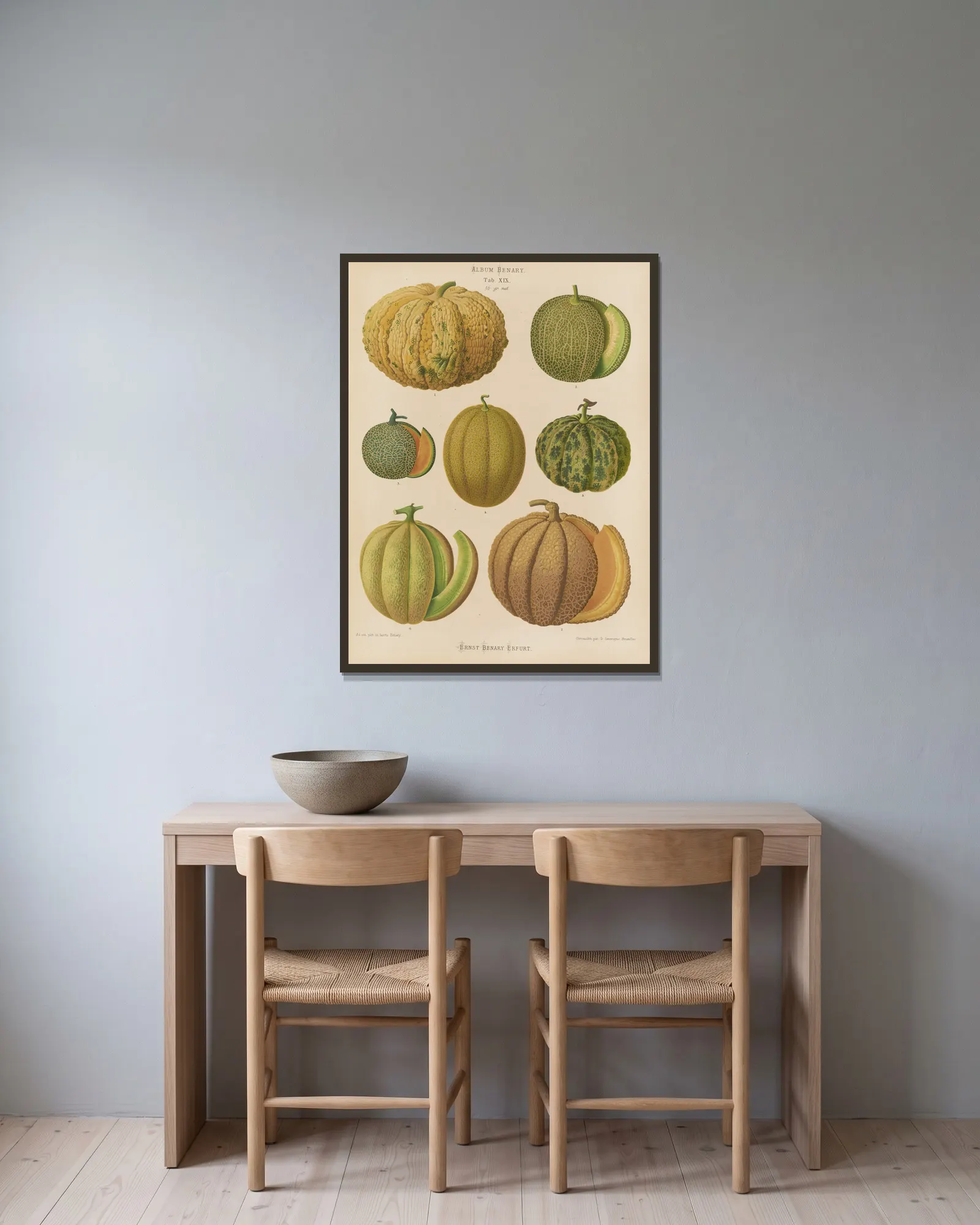 Melons av Ernst Benary inramad på en vägg