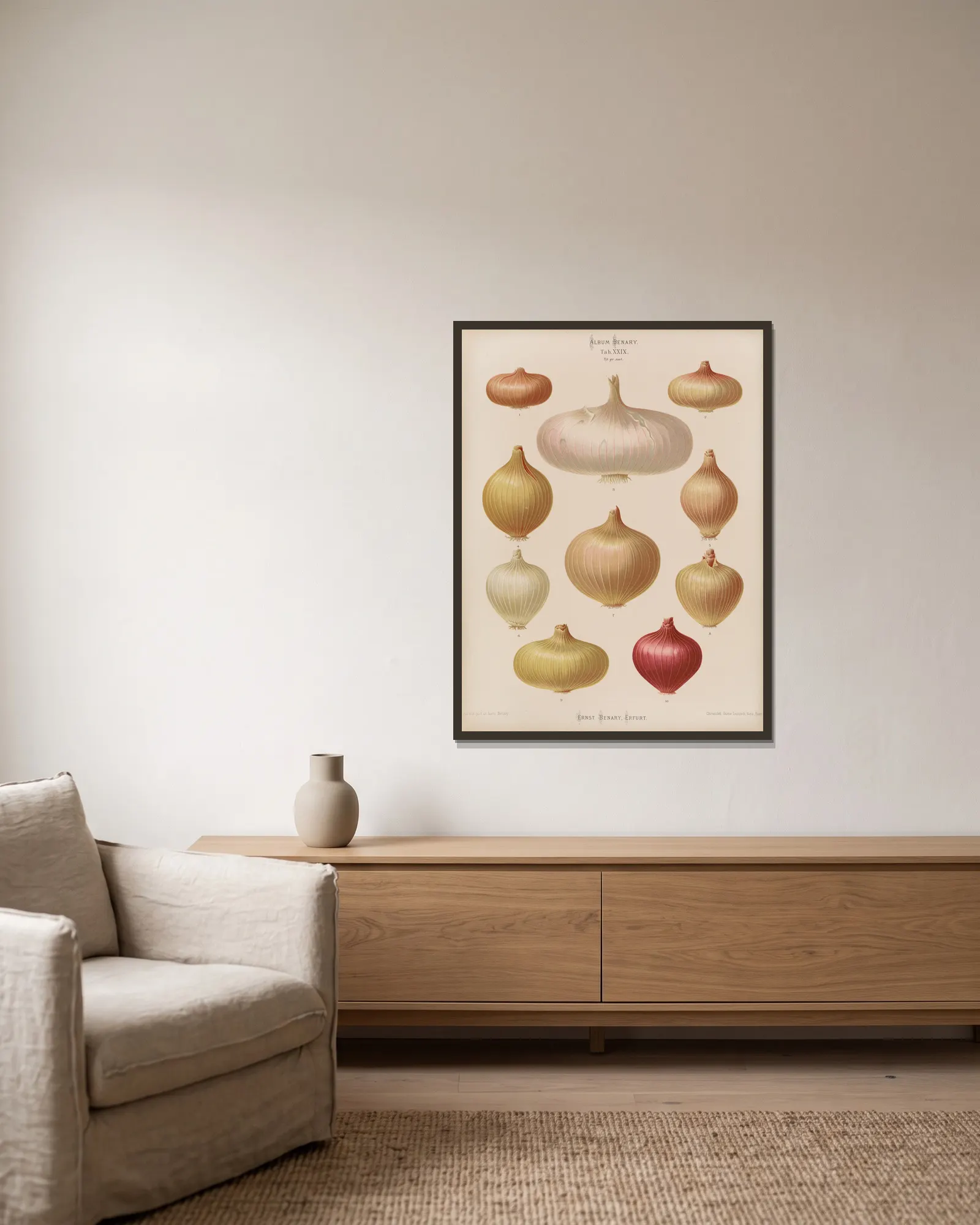 Onions av Ernst Benary inramad på en vägg