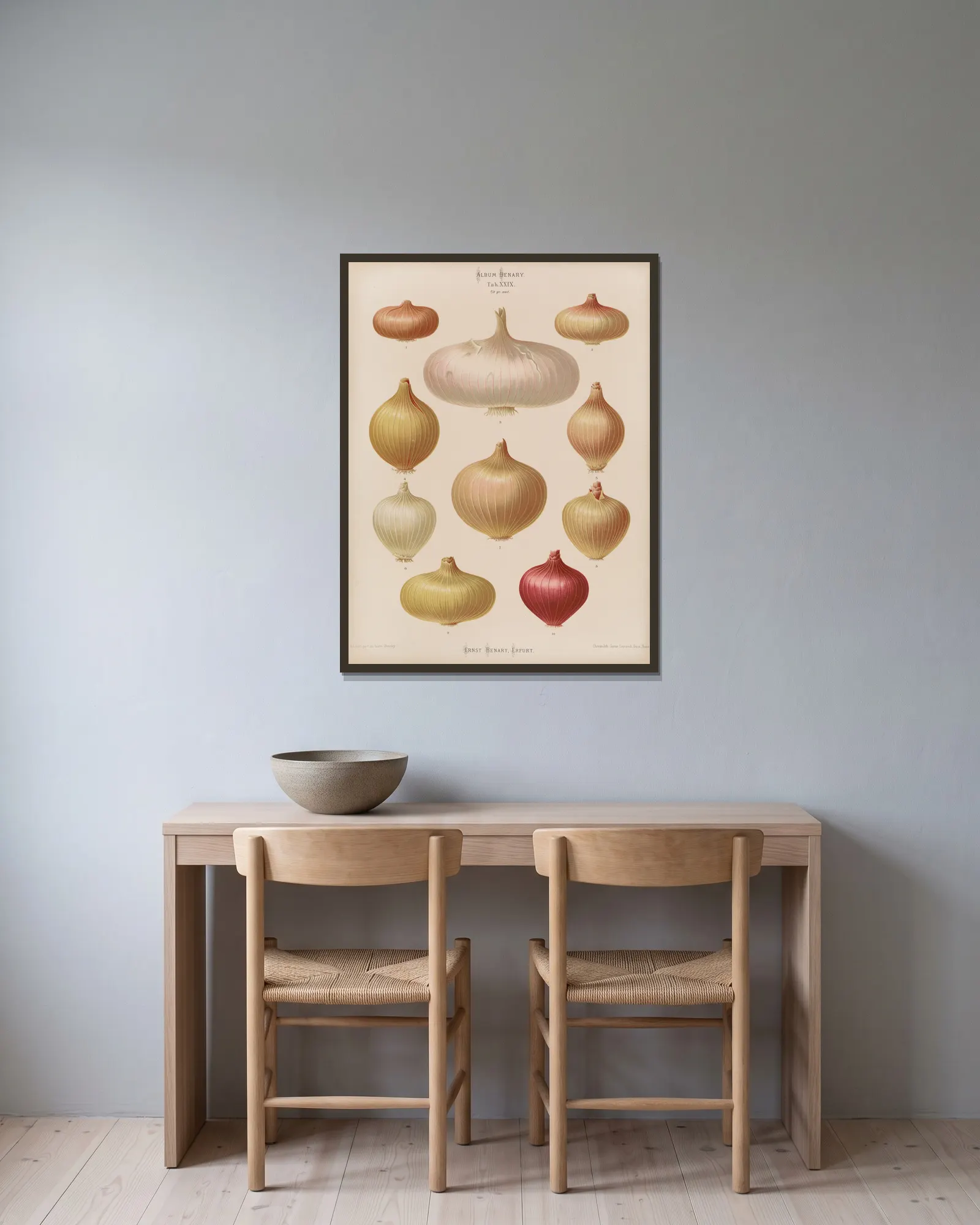 Onions av Ernst Benary inramad på en vägg