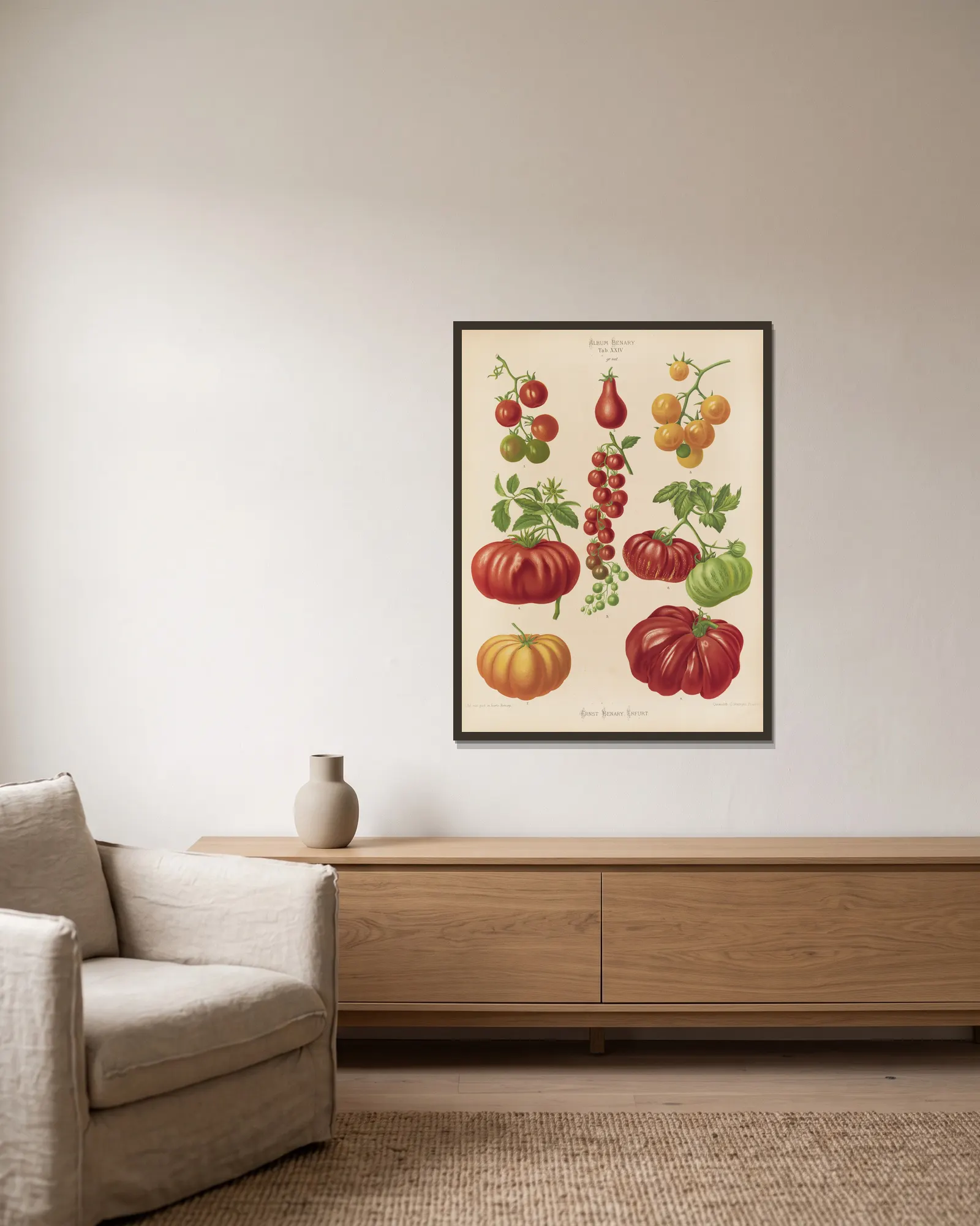 Tomatoes, or Love-Apples av Ernst Benary inramad på en vägg