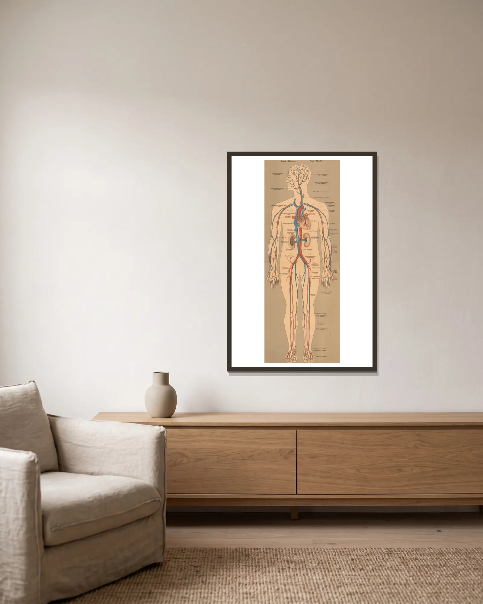 Blood and lymphatic system av J.F. Schreiber inramad på en vägg