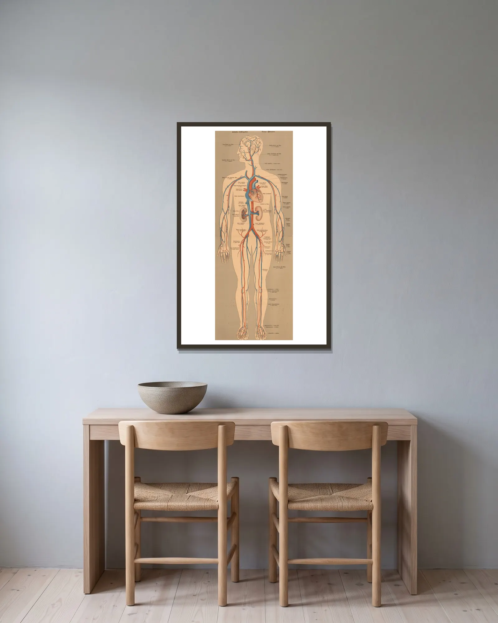Blood and lymphatic system av J.F. Schreiber inramad på en vägg