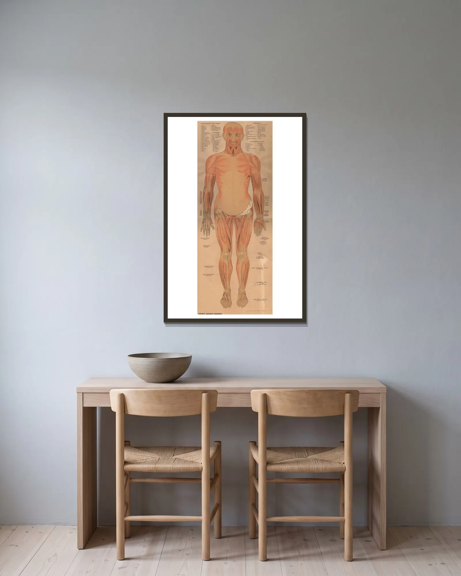 Muscles and internal organs, 1902 – nr 2 av J.F. Schreiber inramad på en vägg