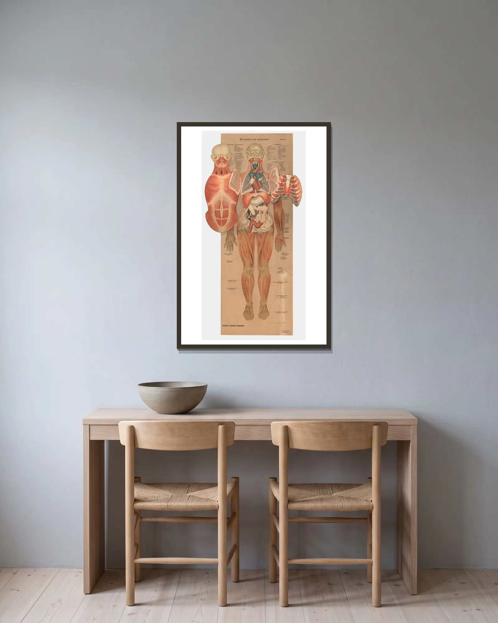 Muscles and internal organs, 1902 – nr 1 av J.F. Schreiber inramad på en vägg