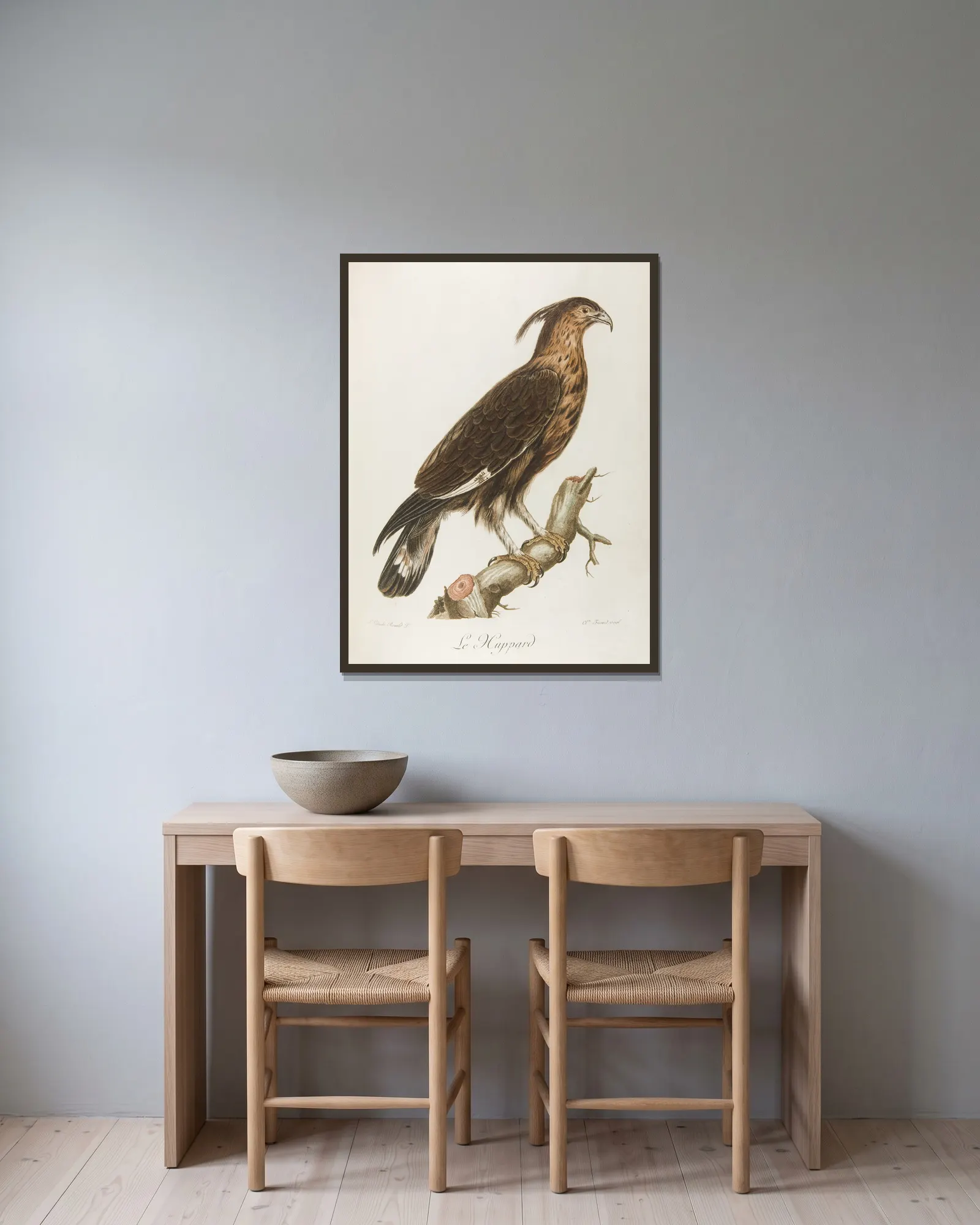 Le huppard (18th century) av François Levaillant inramad på en vägg