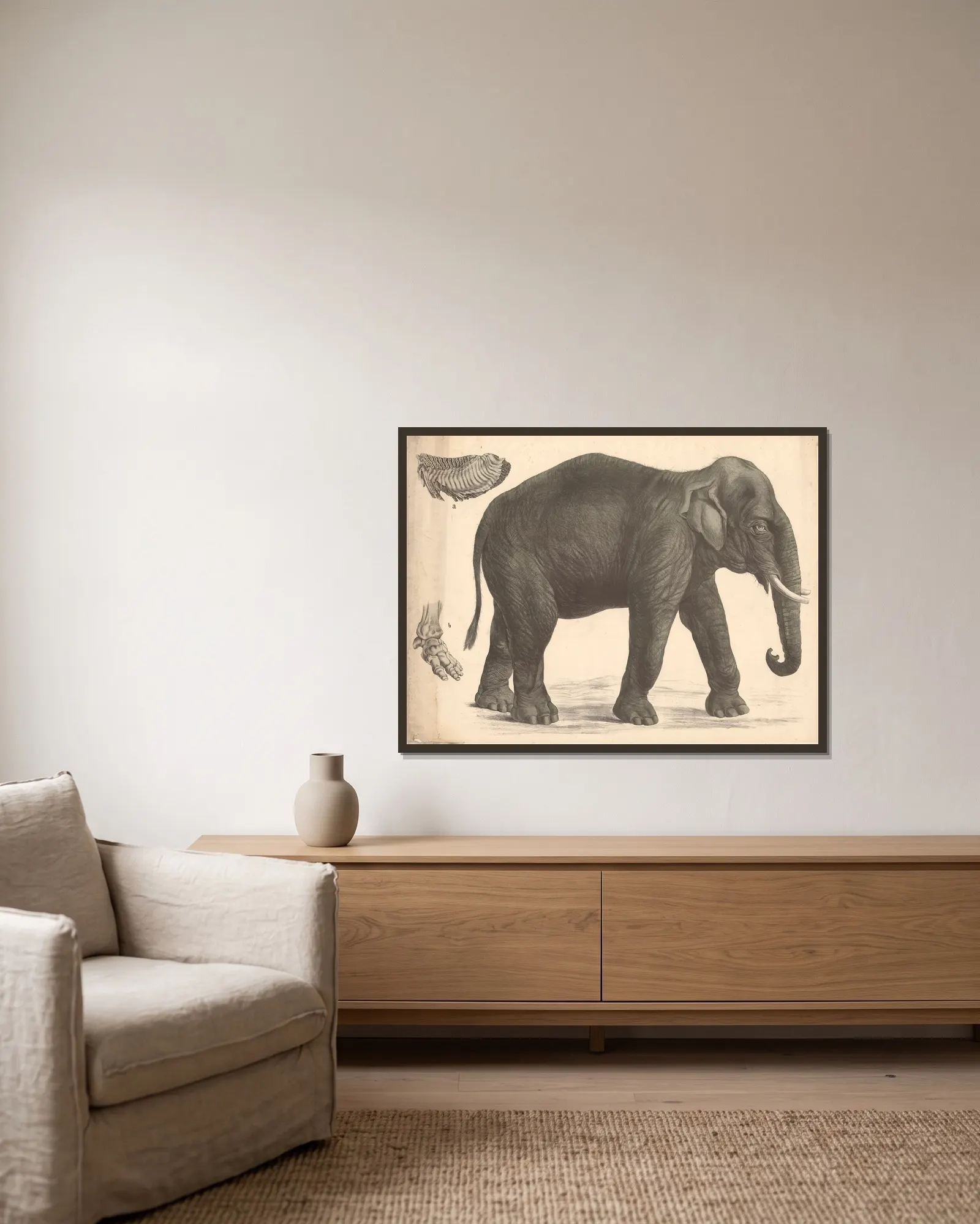Indian elephant av Franz Engleder inramad på en vägg