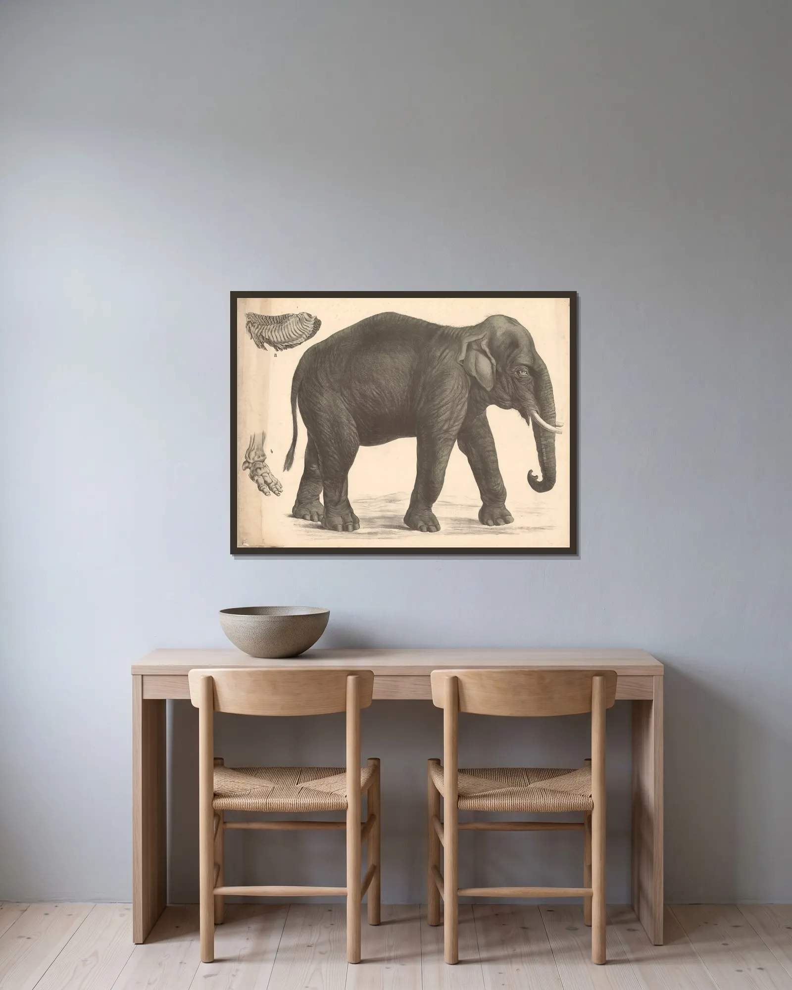 Indian elephant av Franz Engleder inramad på en vägg