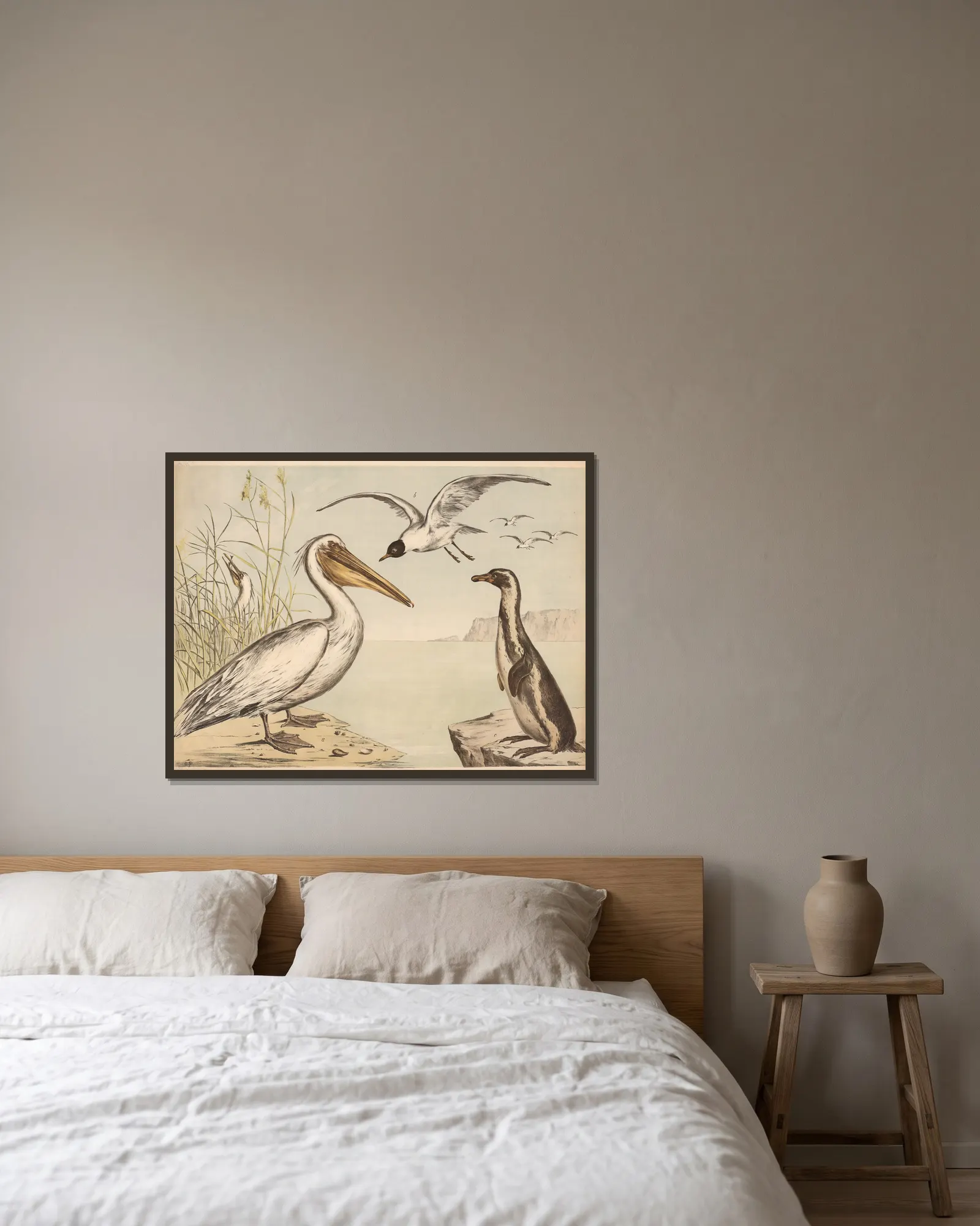 Pelikan Möve Pinguin av Franz Engleder inramad på en vägg