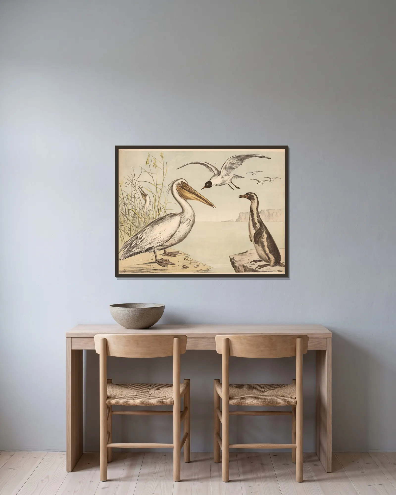 Pelikan Möve Pinguin av Franz Engleder inramad på en vägg