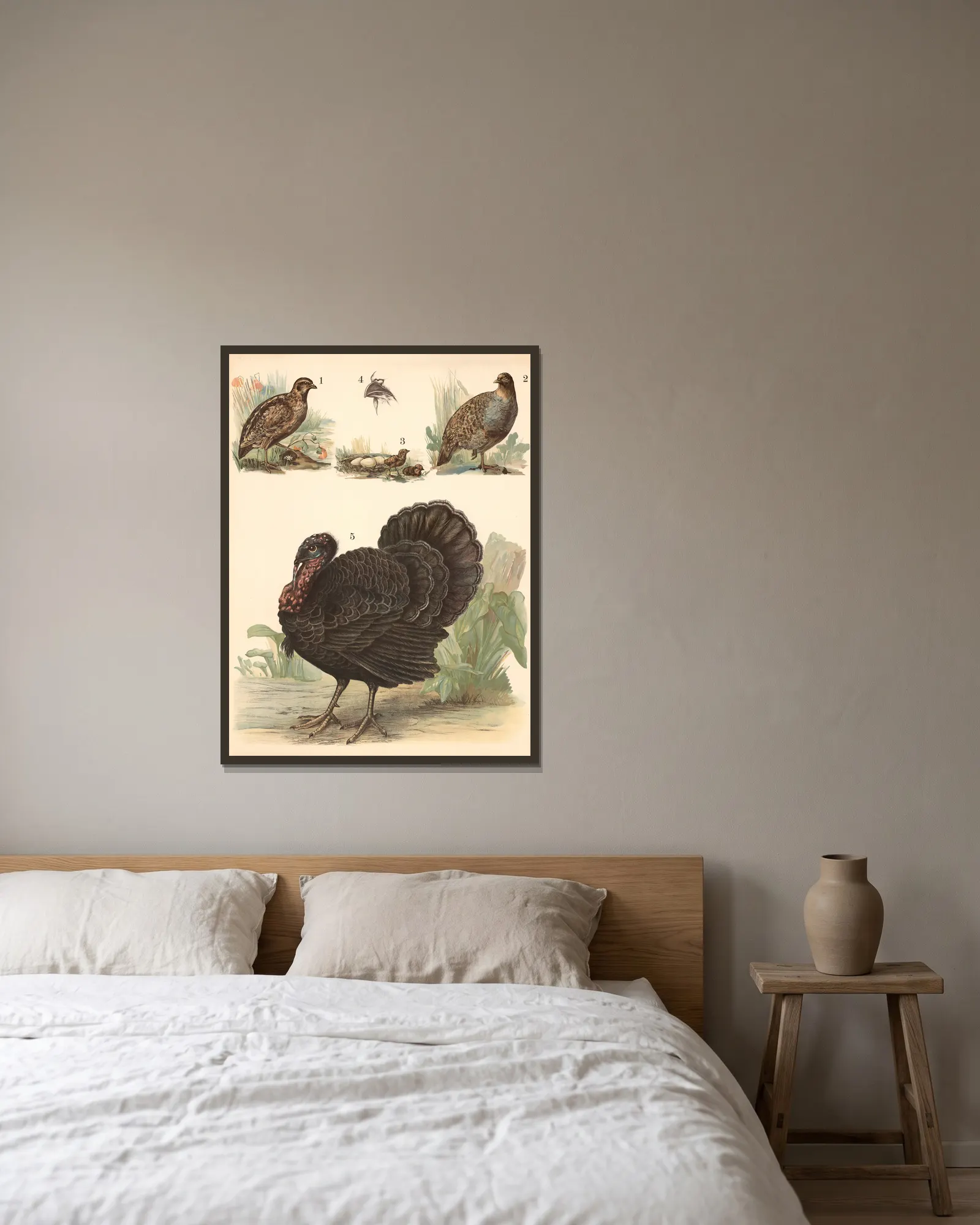 Quail, partridge, turkey av Franz Engleder inramad på en vägg