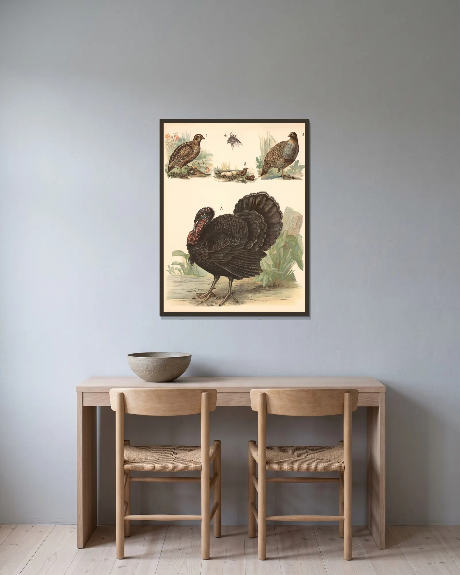 Quail, partridge, turkey av Franz Engleder inramad på en vägg