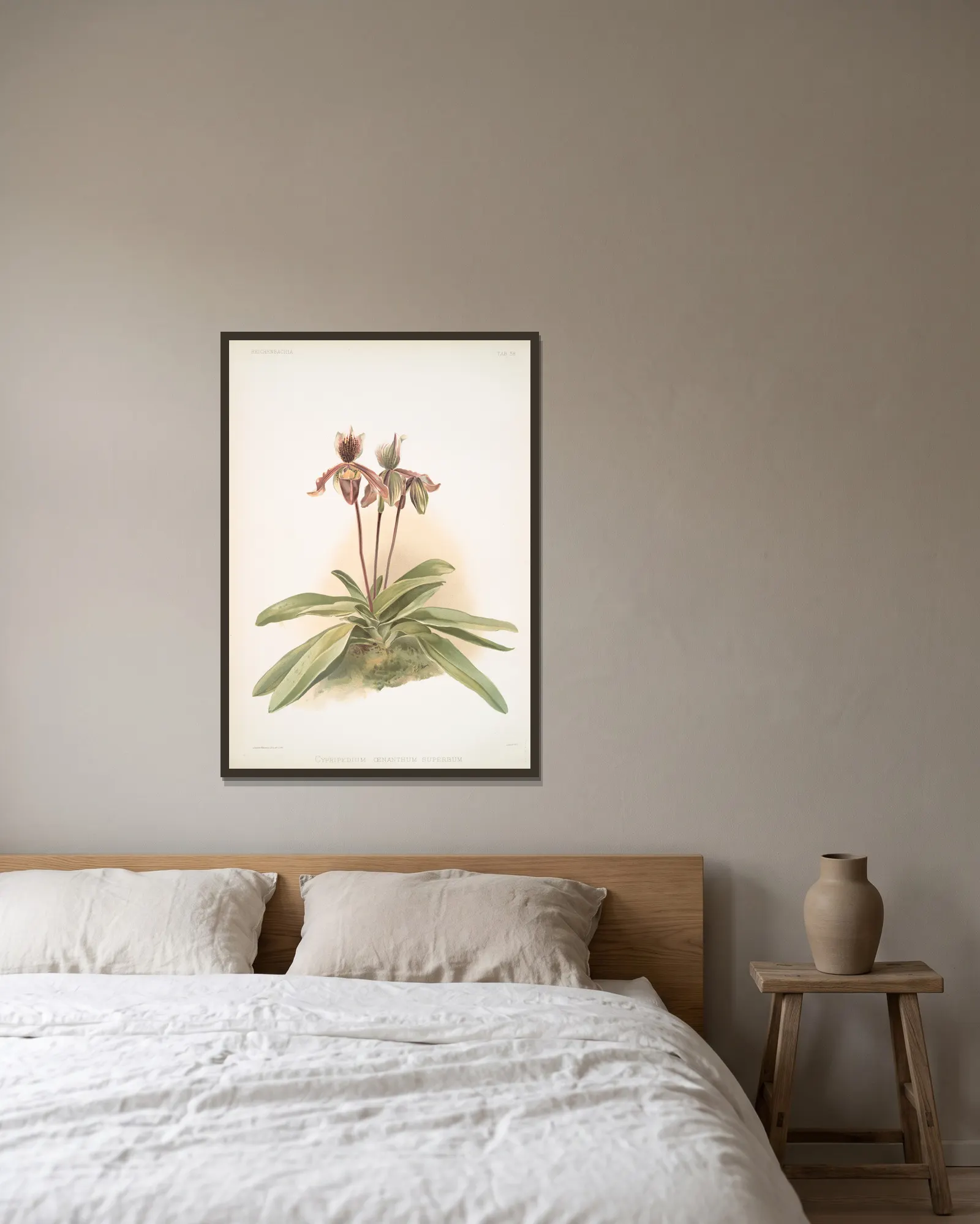 Cypripedium oenanthum superbum. av Frederick Sander inramad på en vägg