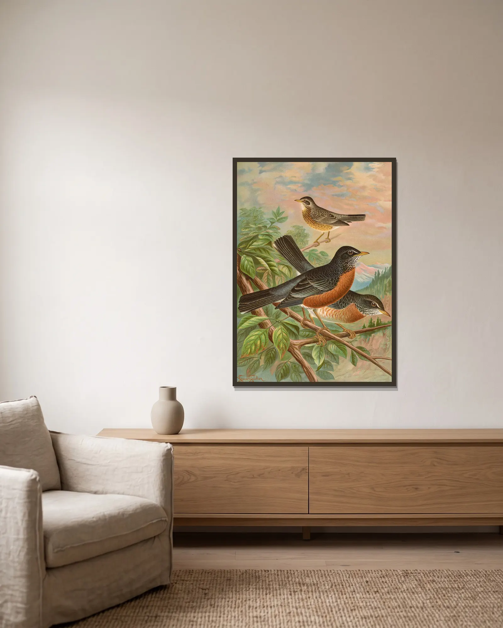 Turdus migratorius av Johann Friedrich Naumann inramad på en vägg