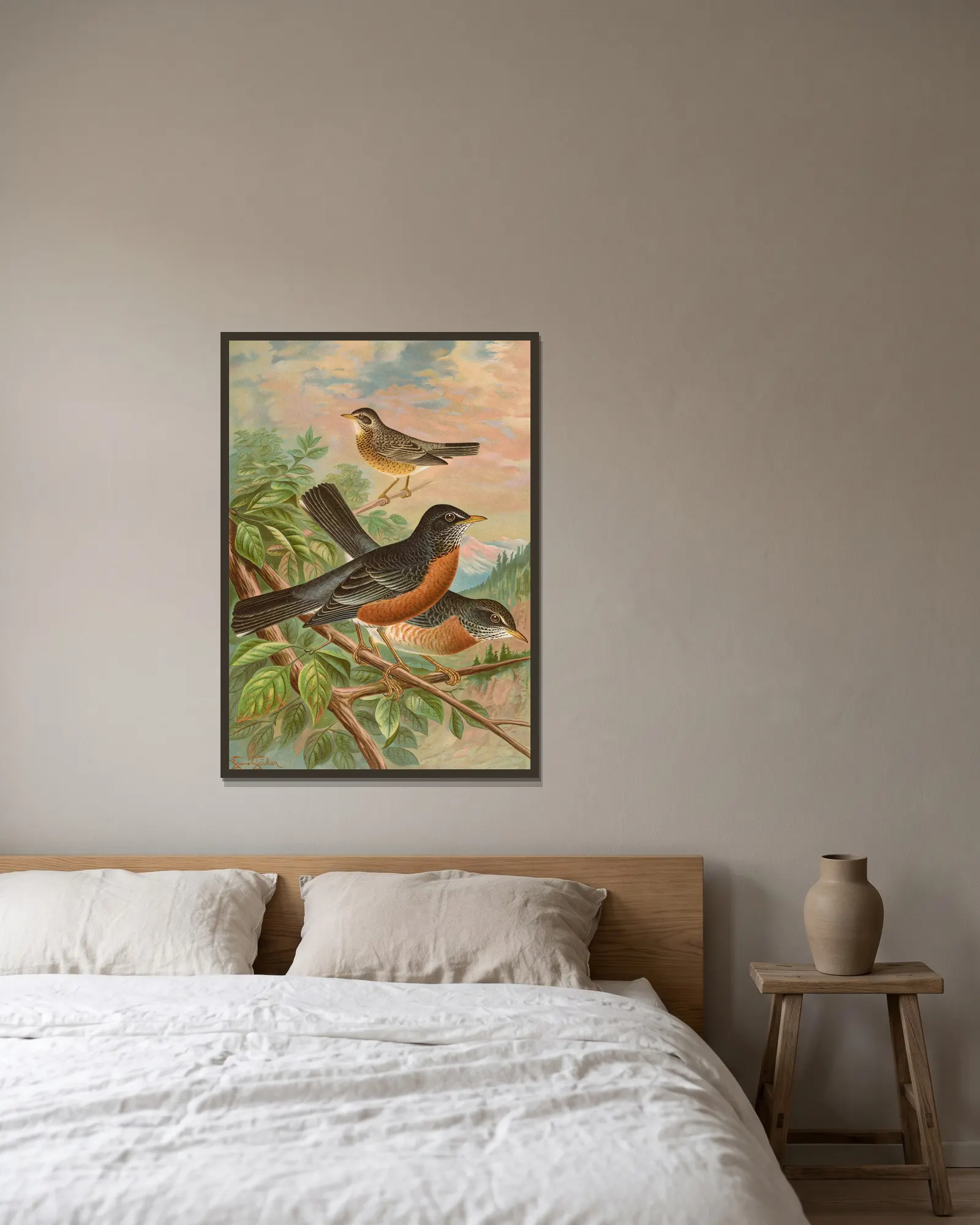 Turdus migratorius av Johann Friedrich Naumann inramad på en vägg