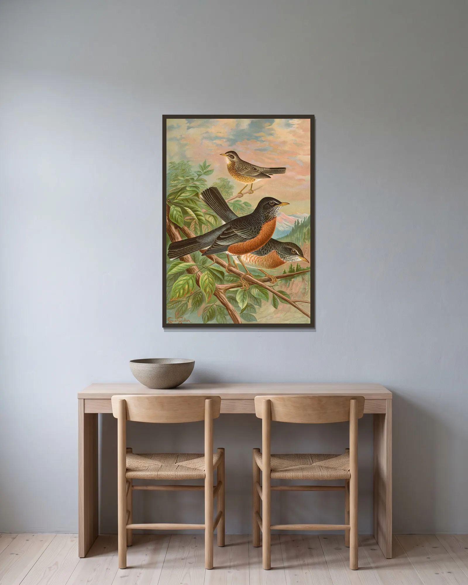 Turdus migratorius av Johann Friedrich Naumann inramad på en vägg