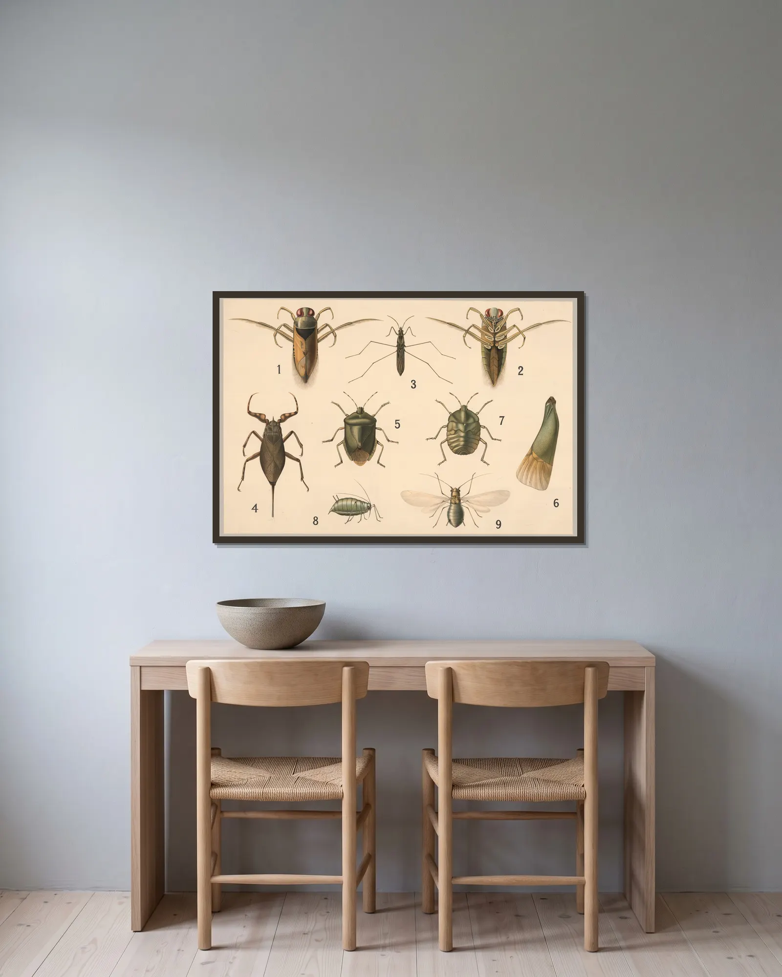 Bugs and aphids av Friedrich Specht inramad på en vägg