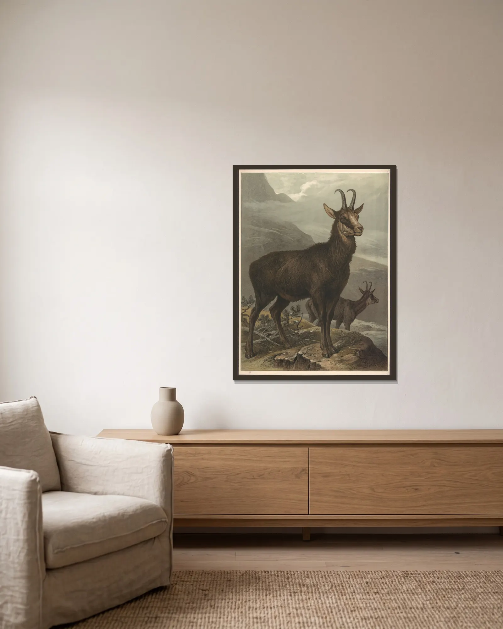 Chamois av Friedrich Specht inramad på en vägg