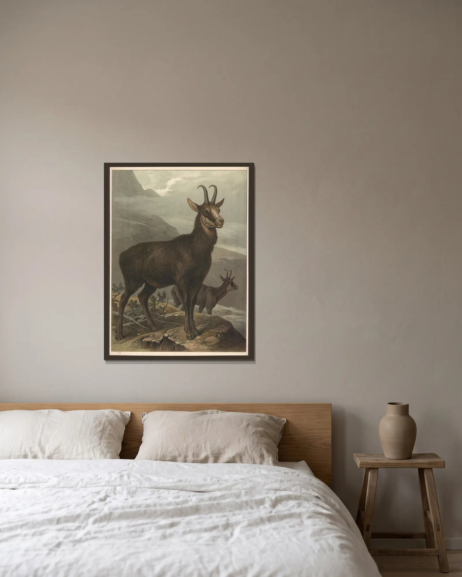 Chamois av Friedrich Specht inramad på en vägg