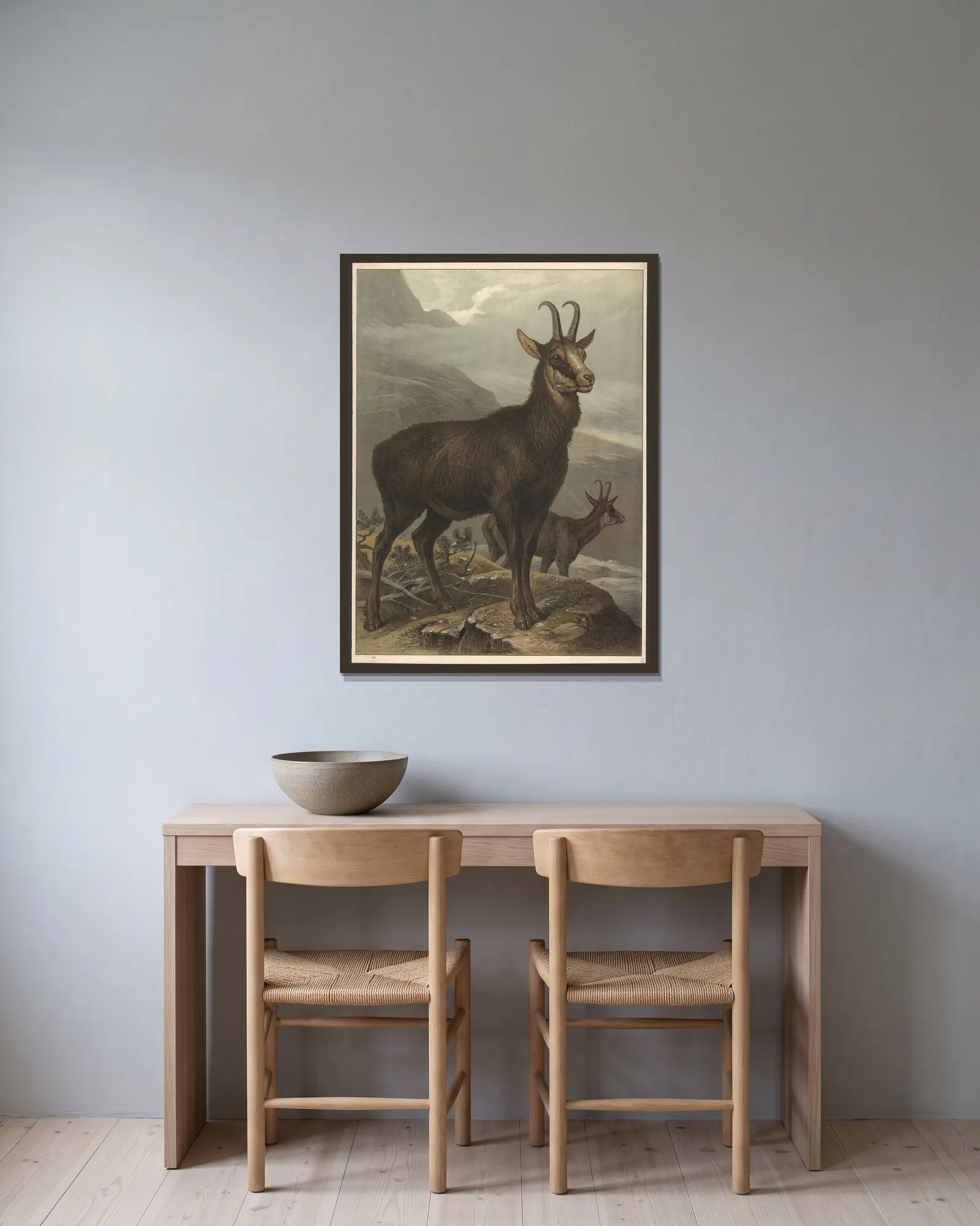 Chamois av Friedrich Specht inramad på en vägg
