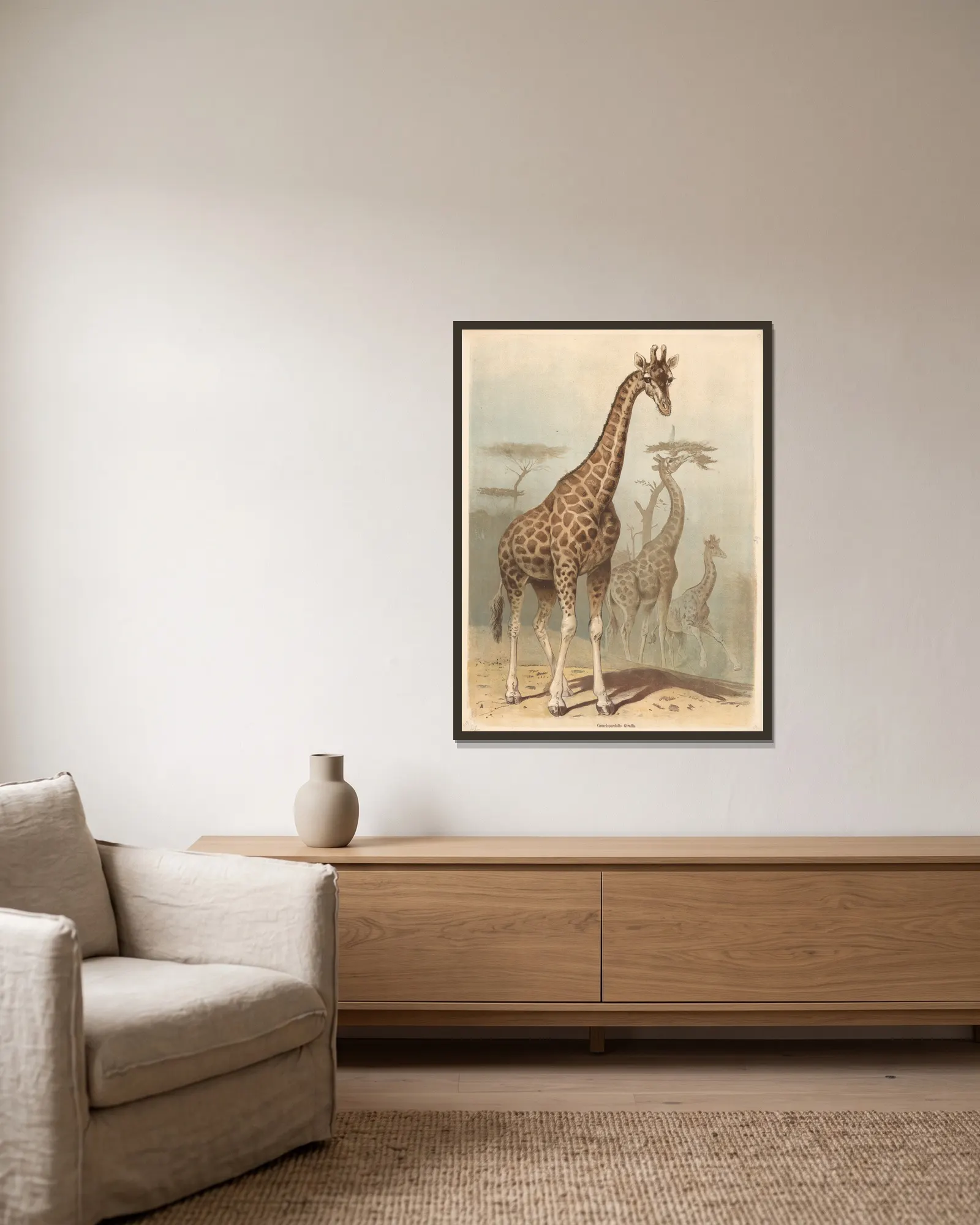 Giraffe av Friedrich Specht inramad på en vägg