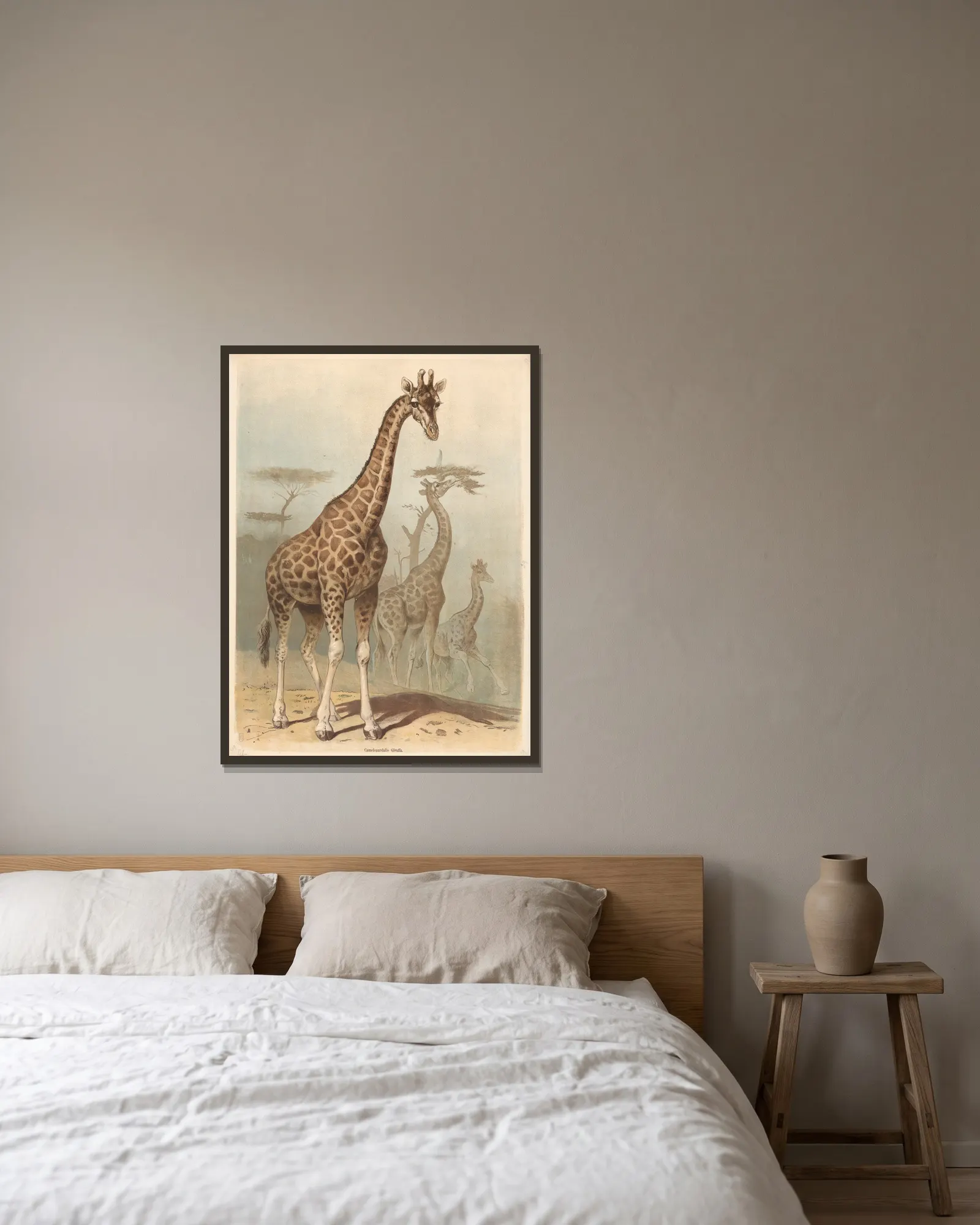 Giraffe av Friedrich Specht inramad på en vägg