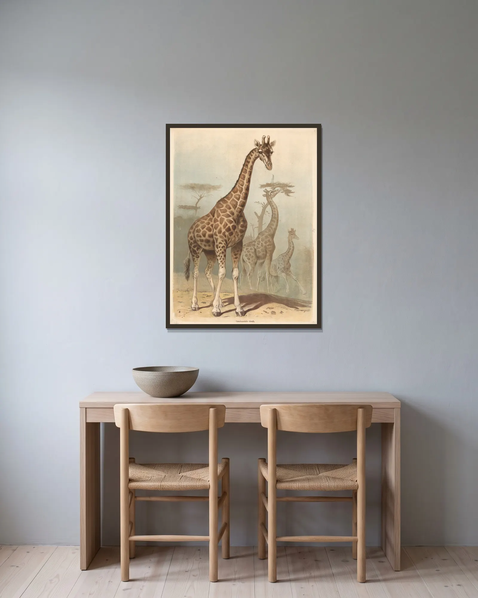 Giraffe av Friedrich Specht inramad på en vägg