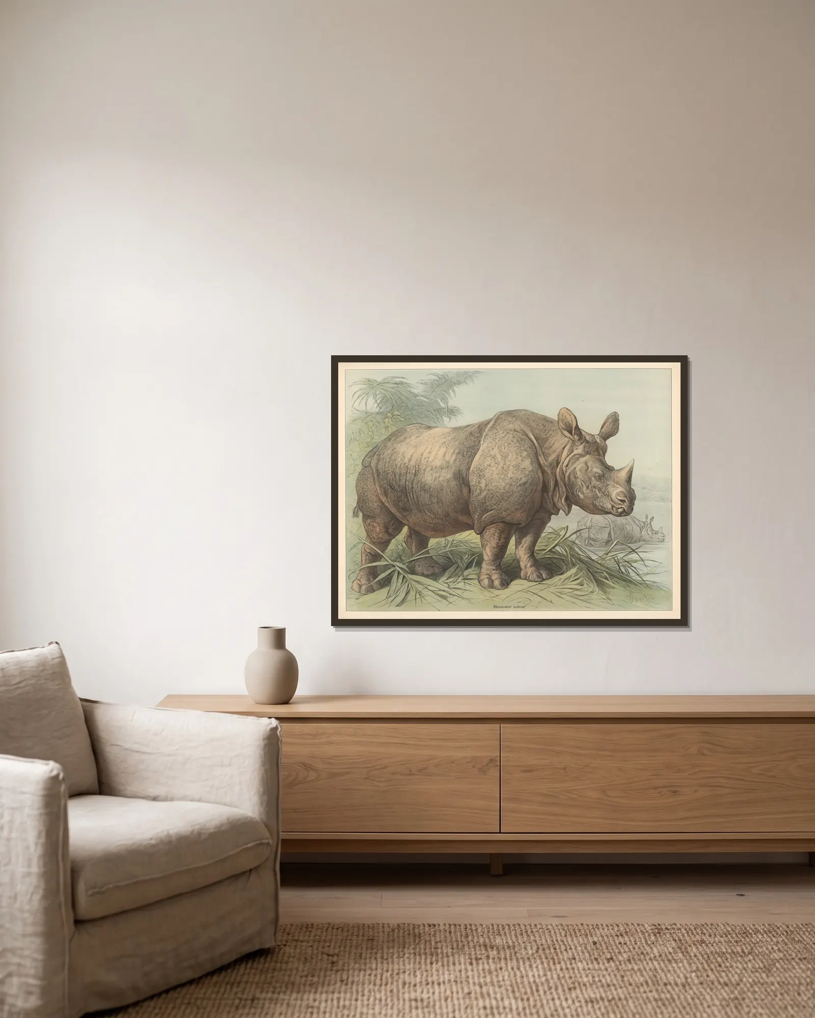 Rhinoceros indicus av Friedrich Specht inramad på en vägg