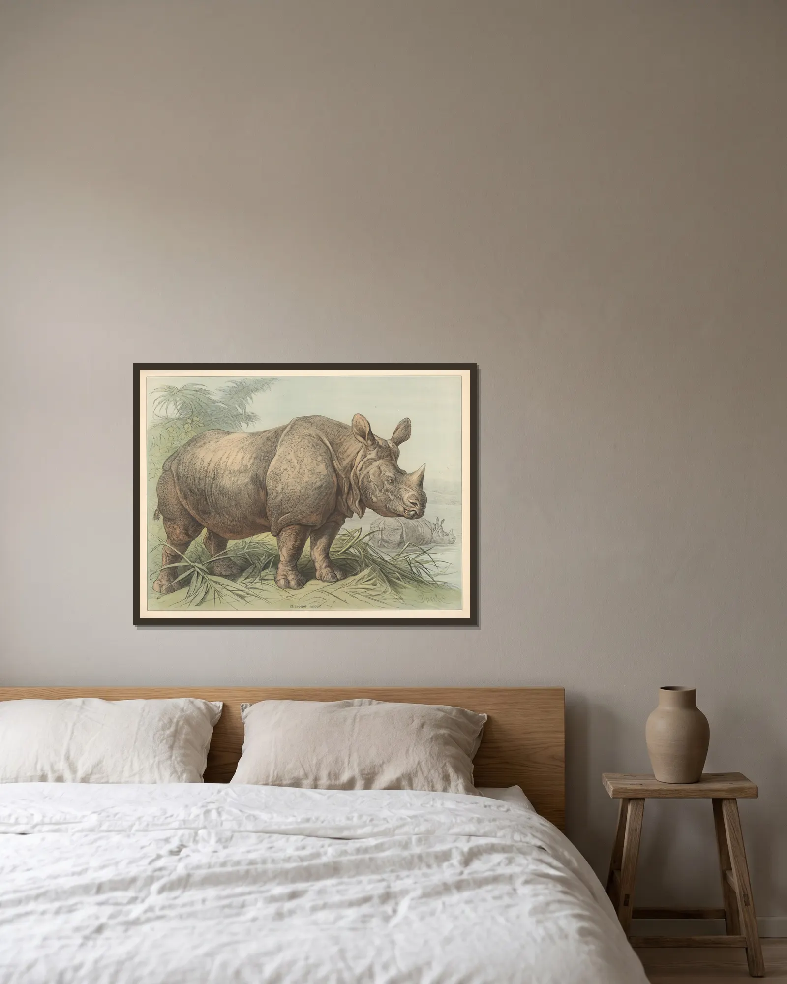 Rhinoceros indicus av Friedrich Specht inramad på en vägg